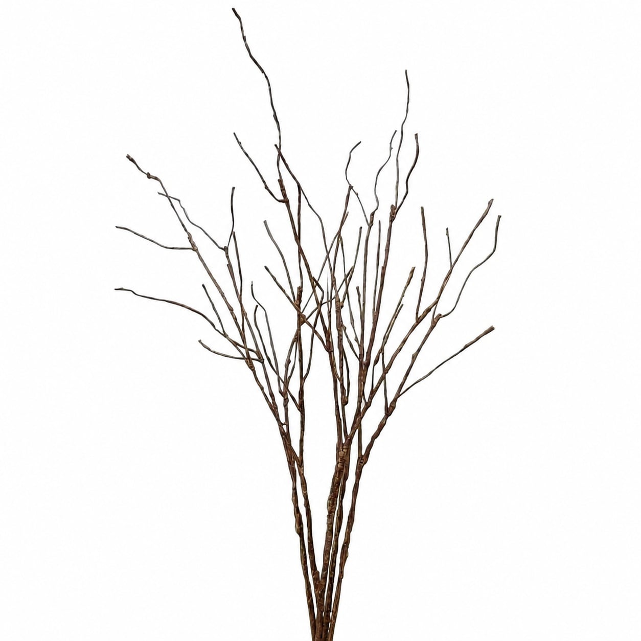 Aoibox  25 9 in Artificial Curly Willow Branches Decorative Bendable Dried Twigs Sticks for Vases 5 Piece