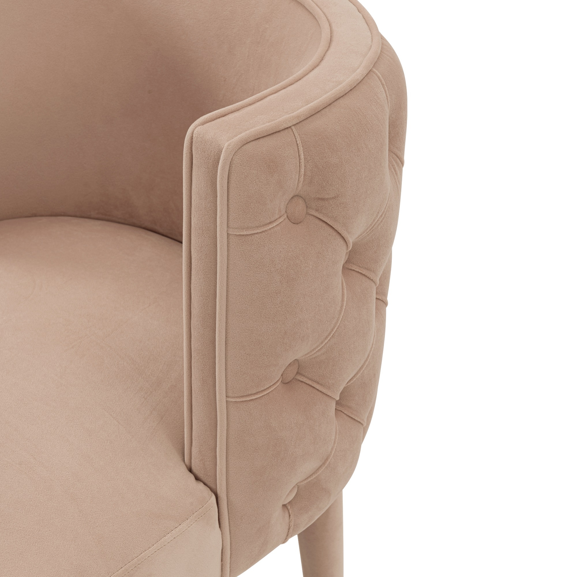 Set of 2 Nude Velvet Upholstered Elm Dining Chairs