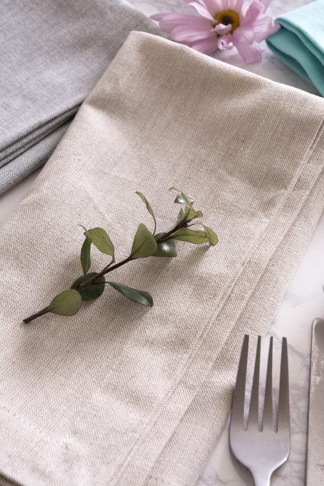 DII CAMZ36975 napkins - View #4