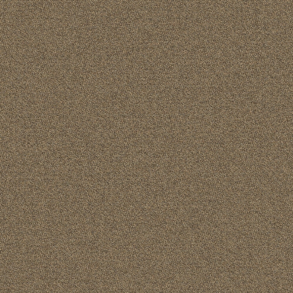 (Sample) 8-in x 8-in Scholastic 26 Neutral Brown 26-oz sq yard Nylon Textured Indoor Carpet