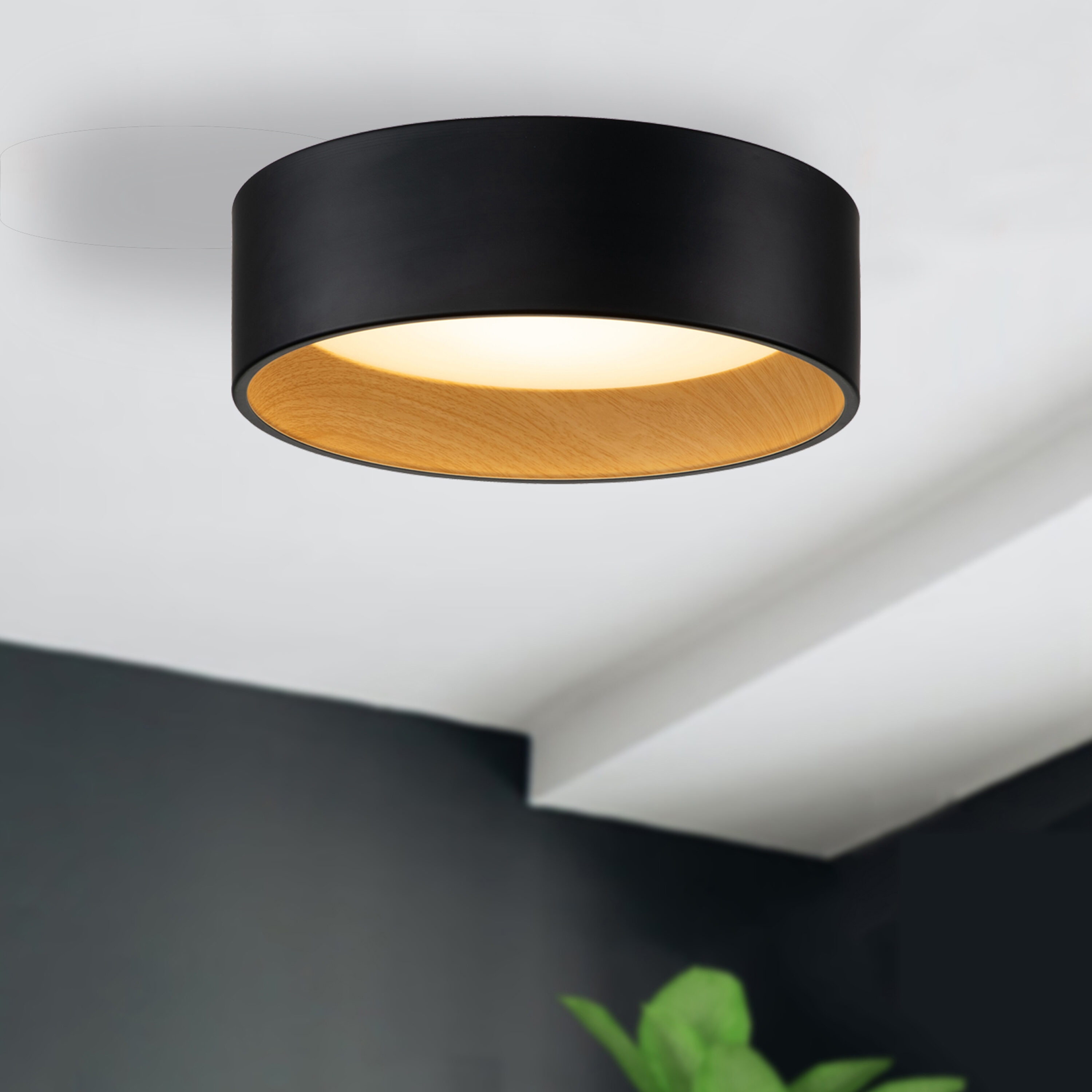 C Cattleya 1-Light Black LED Flush Mount Light CA2227-FM at Lowes.com