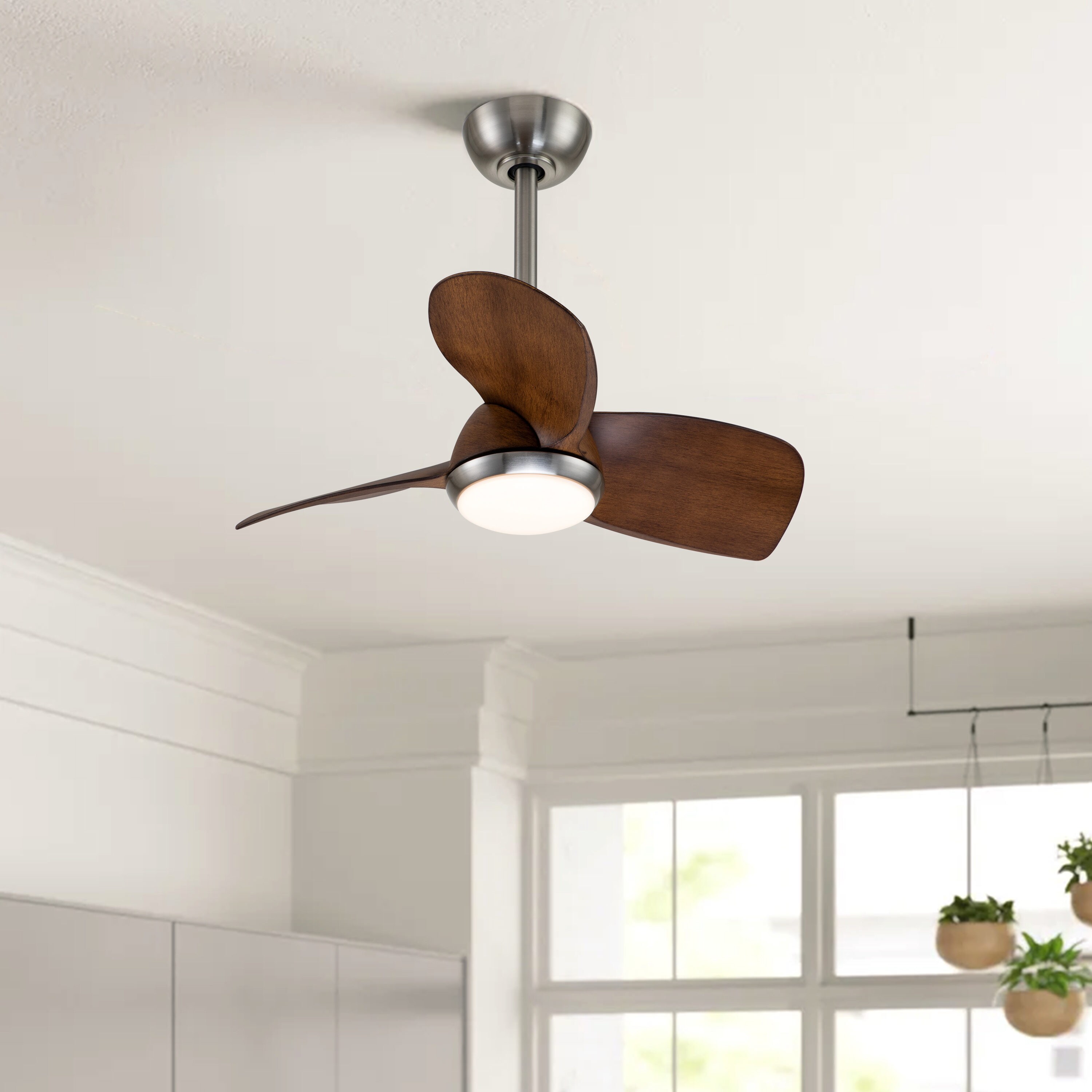 C Cattleya CA2251-CF Ceiling-Fans - View #8