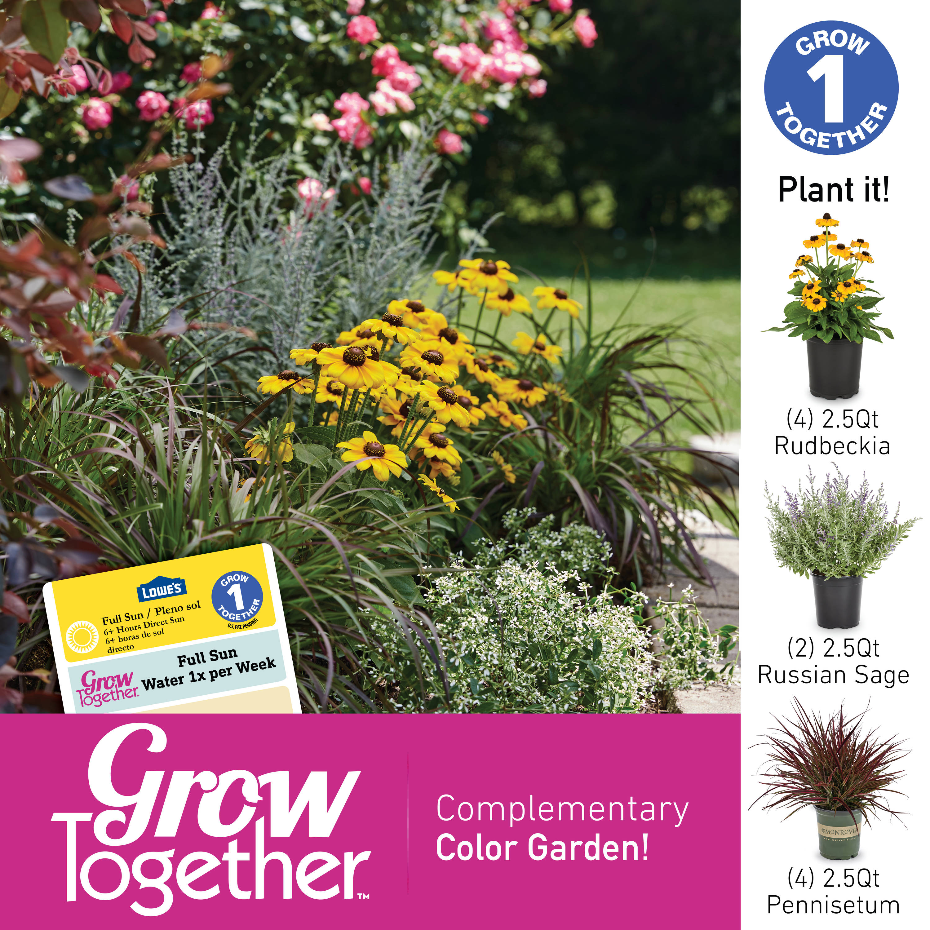 Lowe's NURSERY perennials - View #10