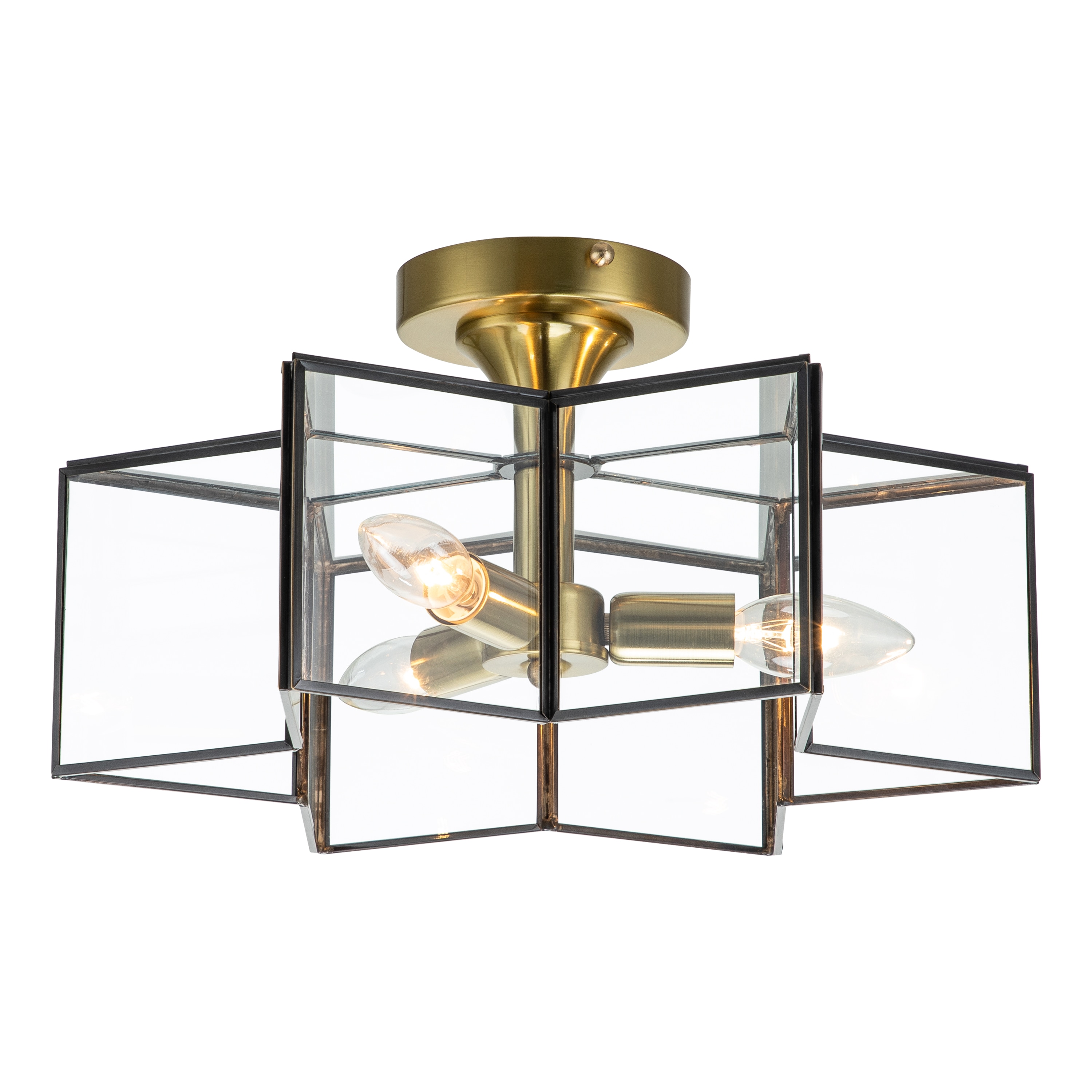 C Cattleya 3-Light 15-in Dark Bronze and Brass Led; Incandescent