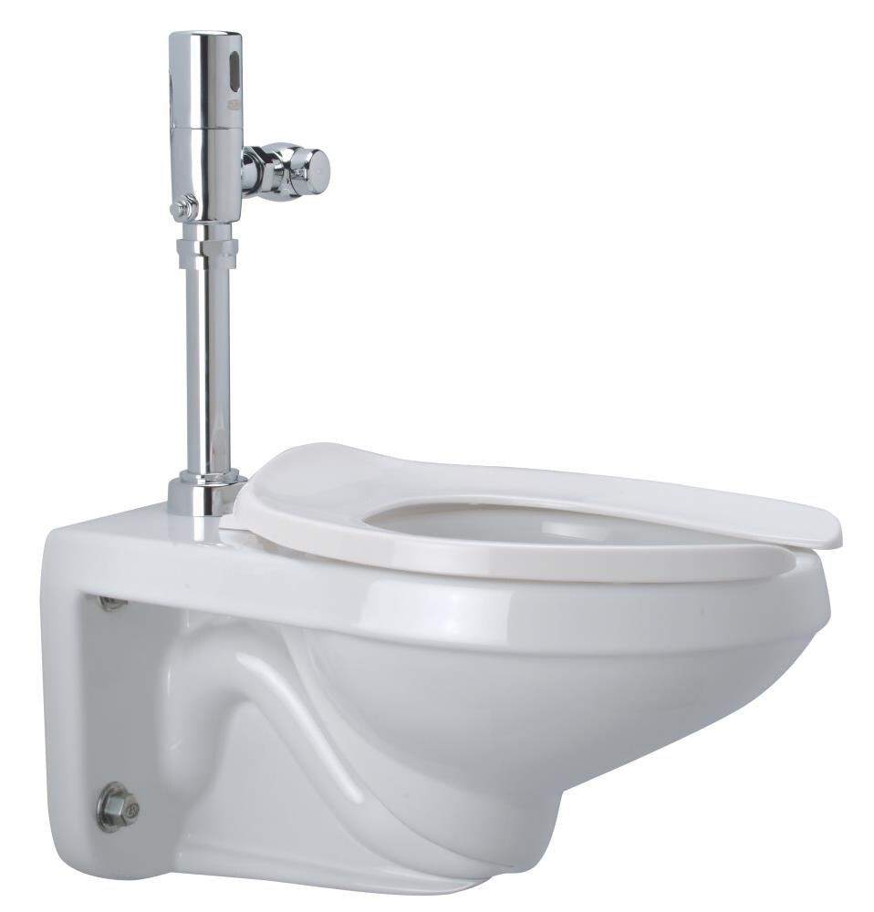 Zurn White Elongated Custom Height Toilet 1.28-GPF at Lowes.com