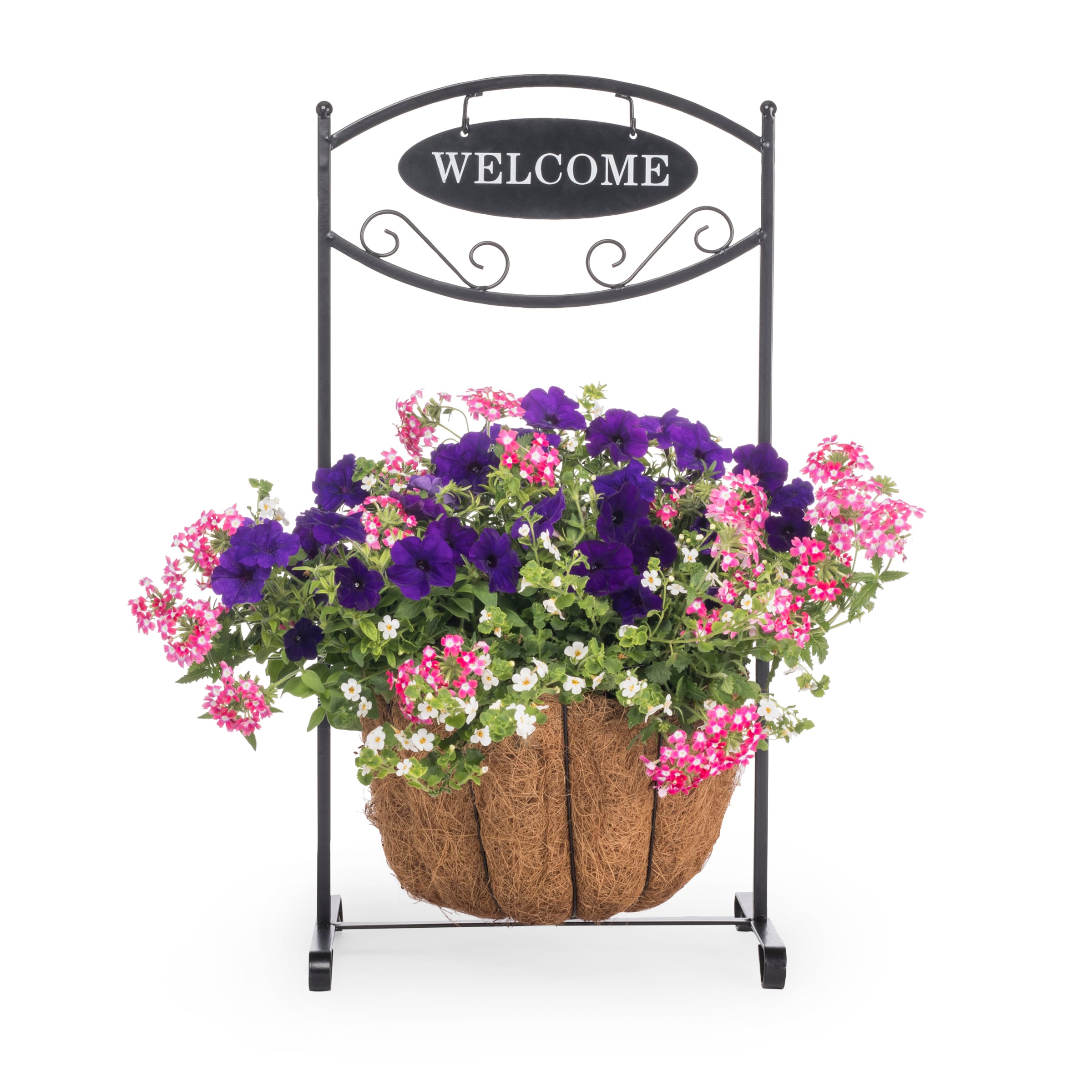 Lowe's NURSERY Multicolor Mixed Annuals Combinations in 2-Gallon Planter