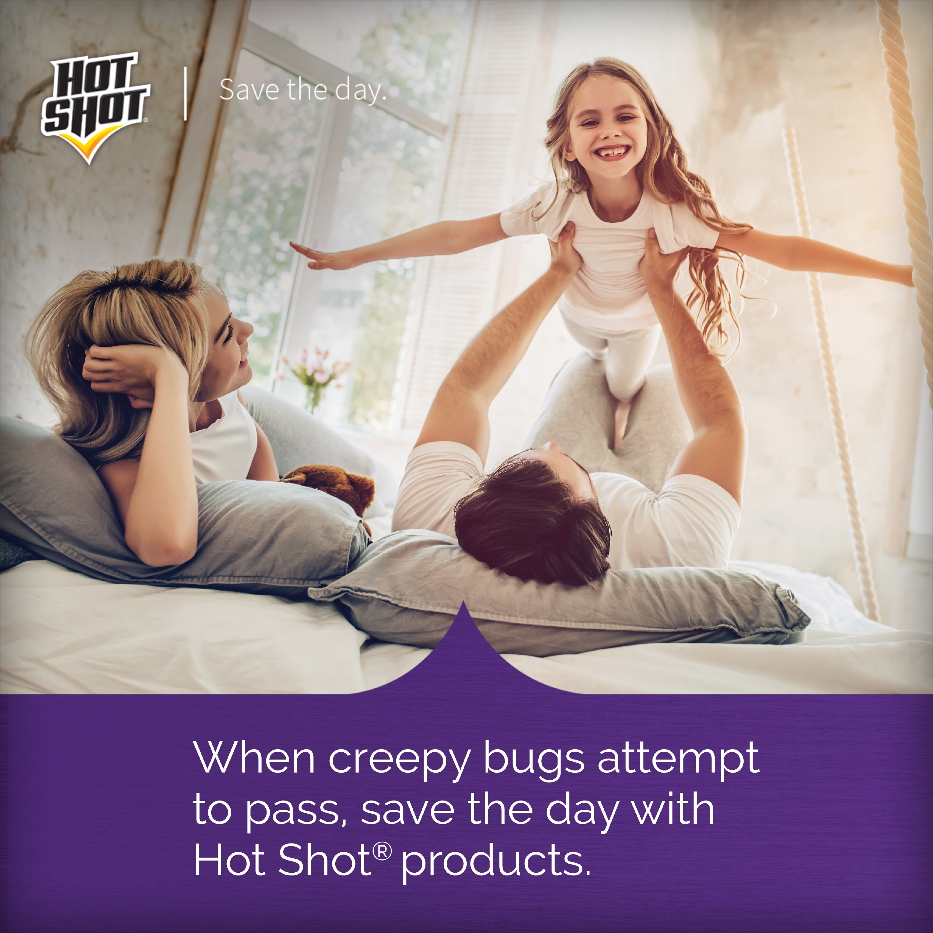 Hot Shot Kills Eggs by Contact 1-Gallon Bed Bug Killer Trigger Spray in the  Pesticides department at