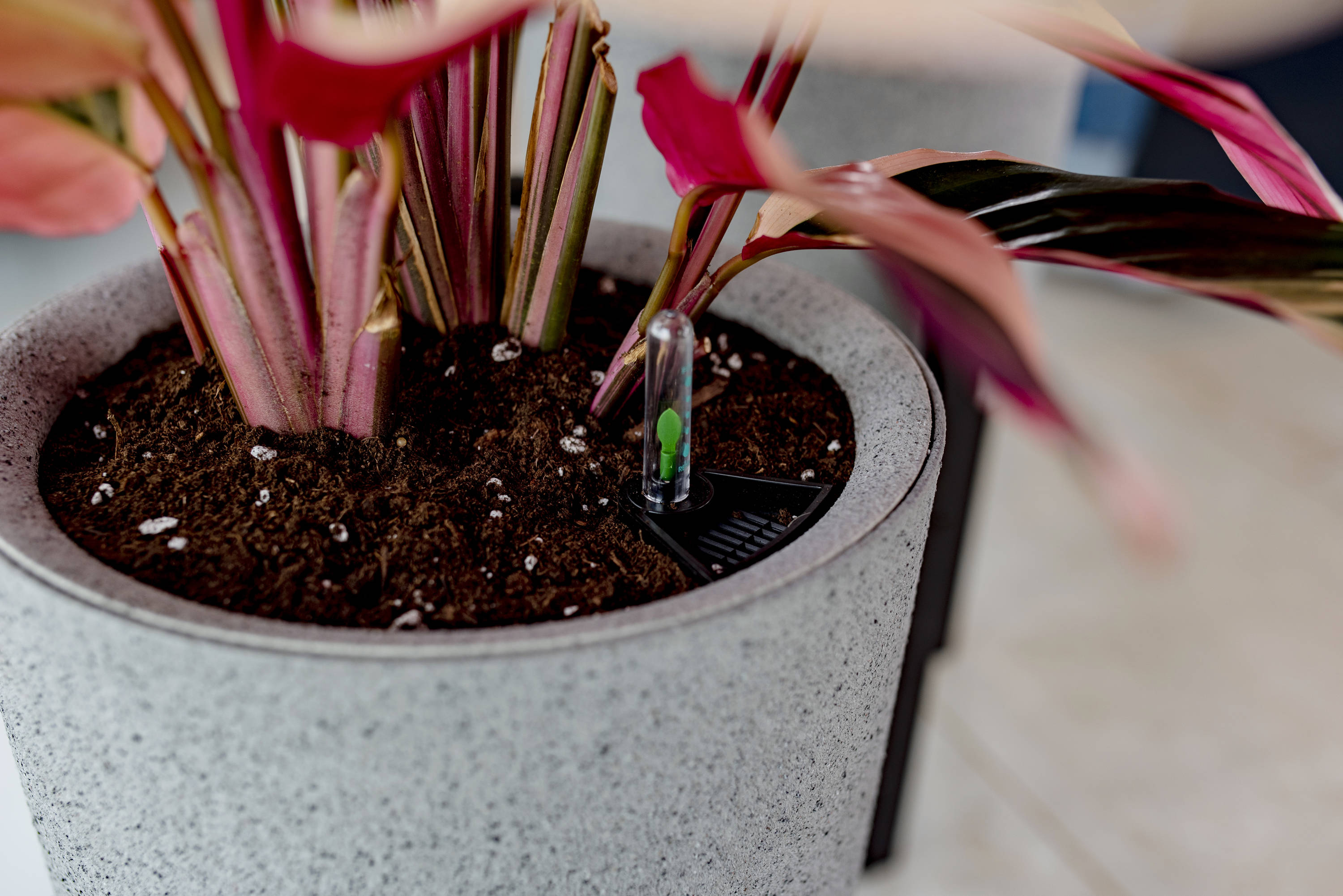 Vita VT17803 Planter-Window-Box - View #4