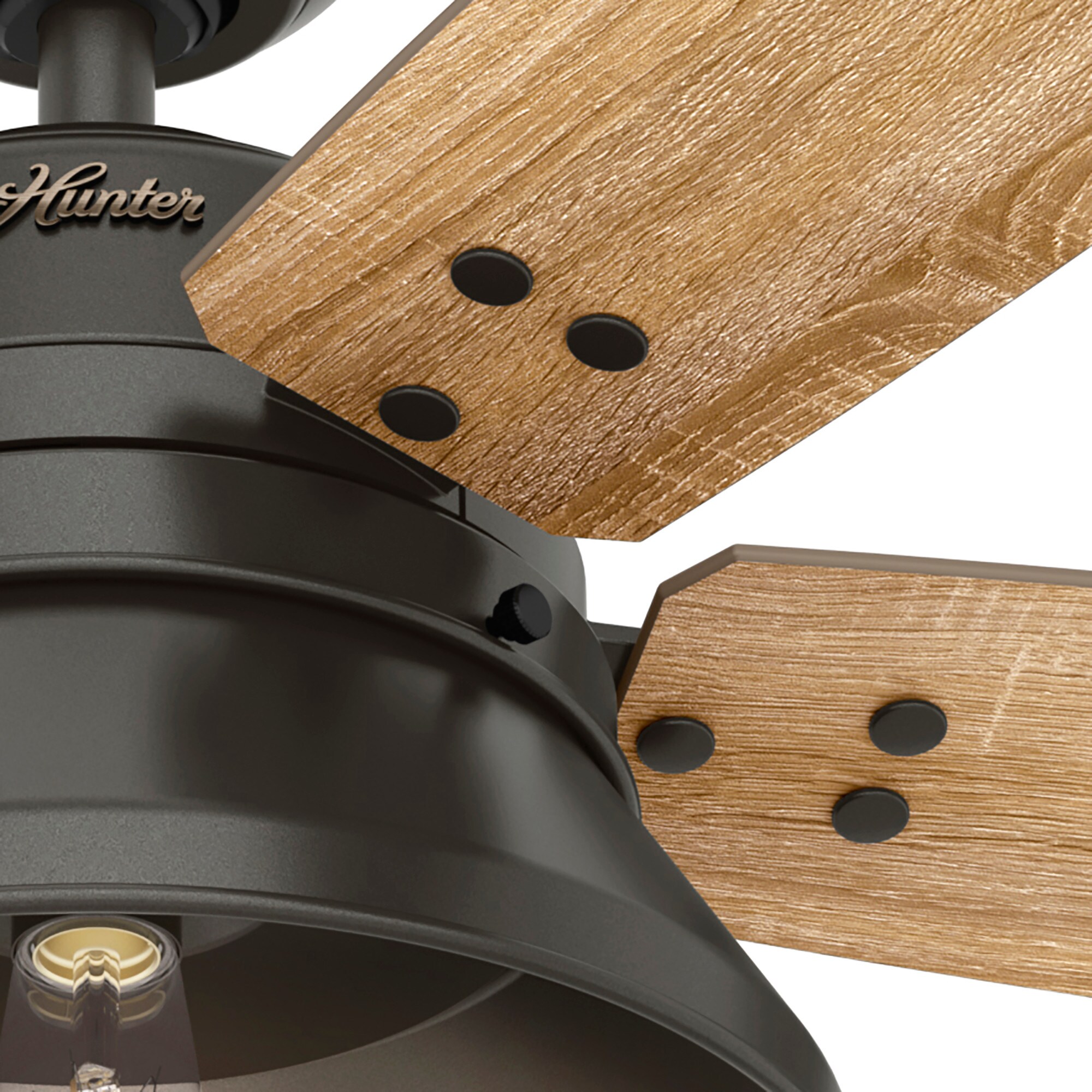 Hunter 50035 Ceiling-Fans - View #8