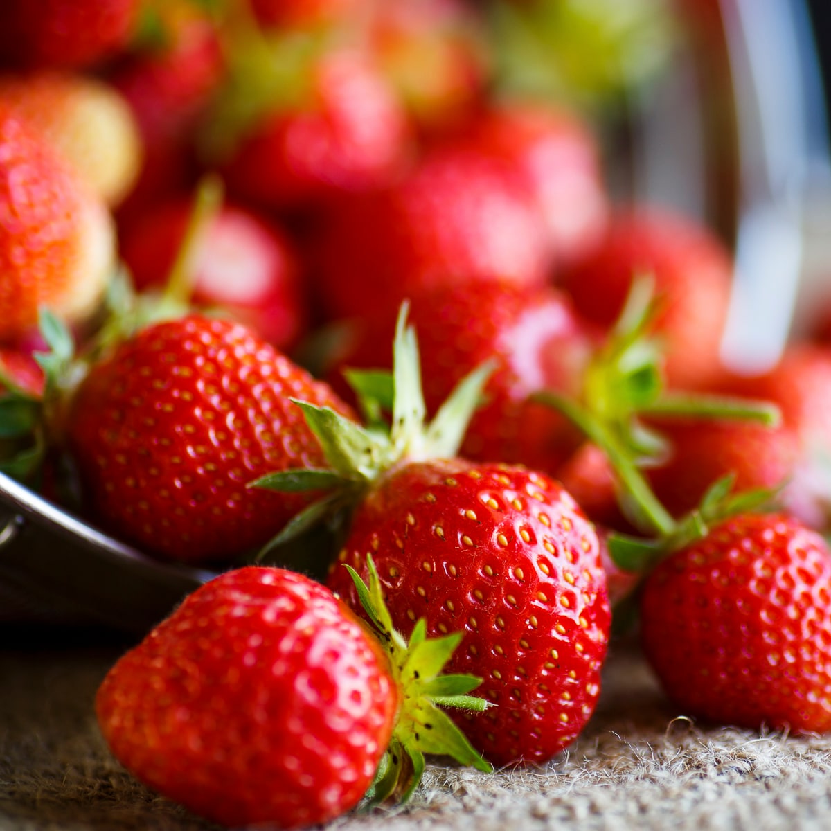 Van Zyverden 84855 20 -Pack Strawberry Plant in Bareroot Spring to Summer