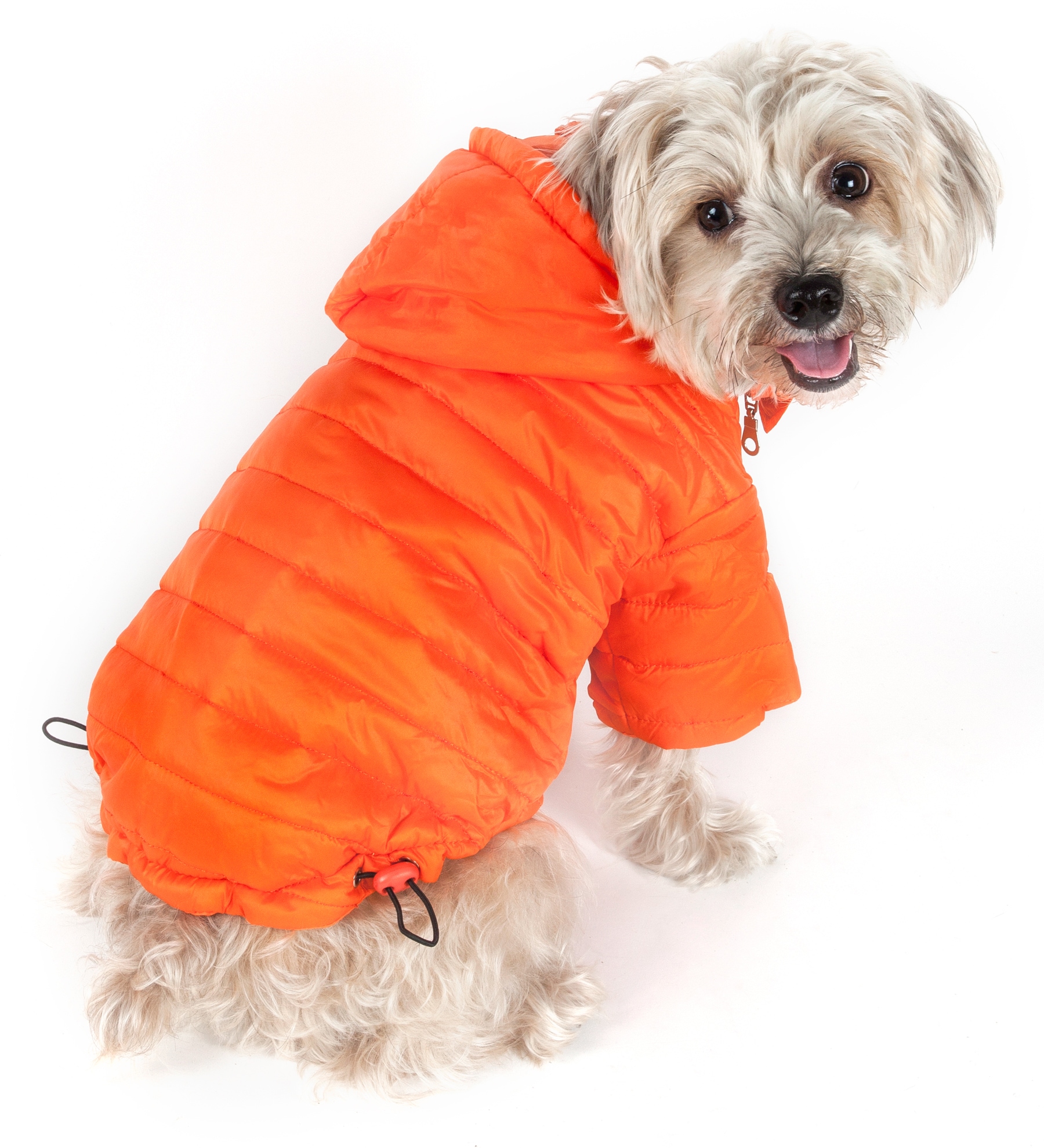 Pet Life Orange 'Denta-Bone' TPR Treat Dispensing and Dental Cleaning  Durable Dog Toy, X-Small