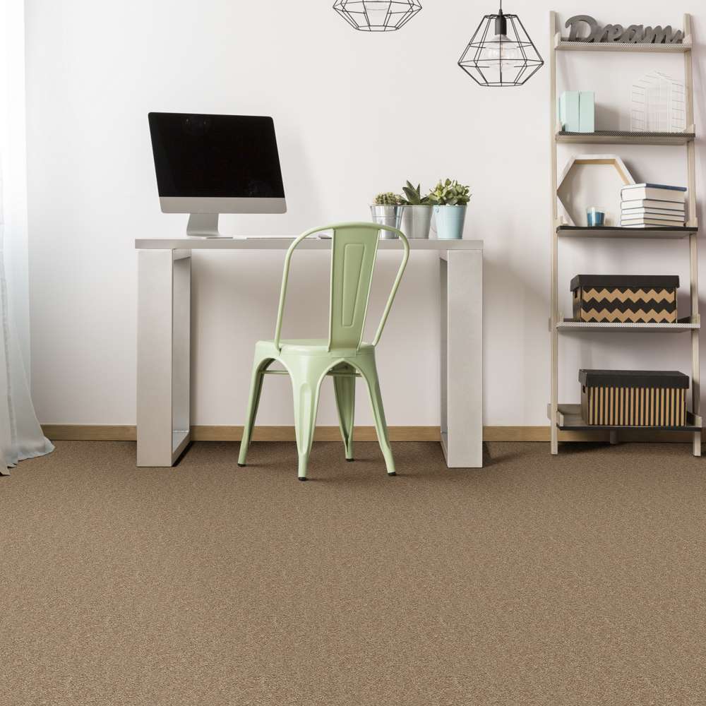 STAINMASTER 7L79100722 Carpet-Panel - View #4