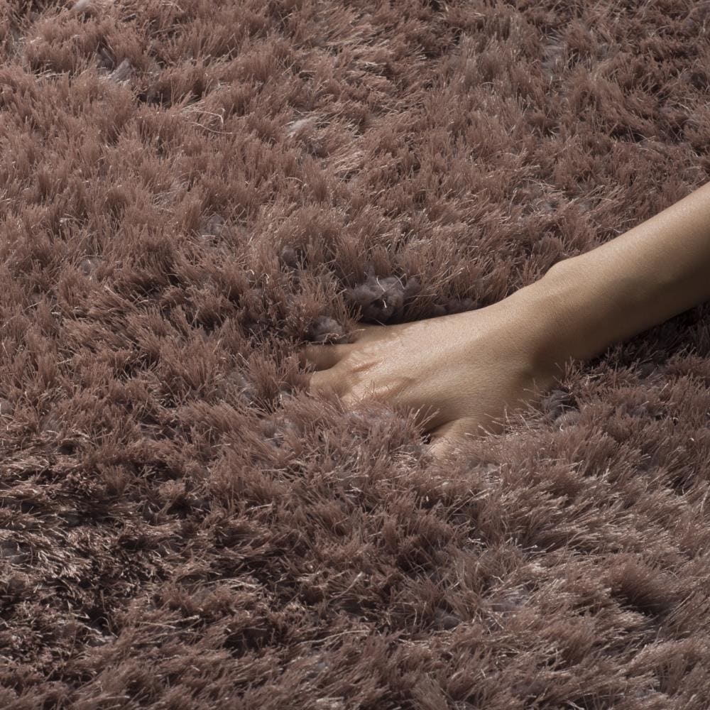 Safavieh SGX160D-6R rugs - View #3