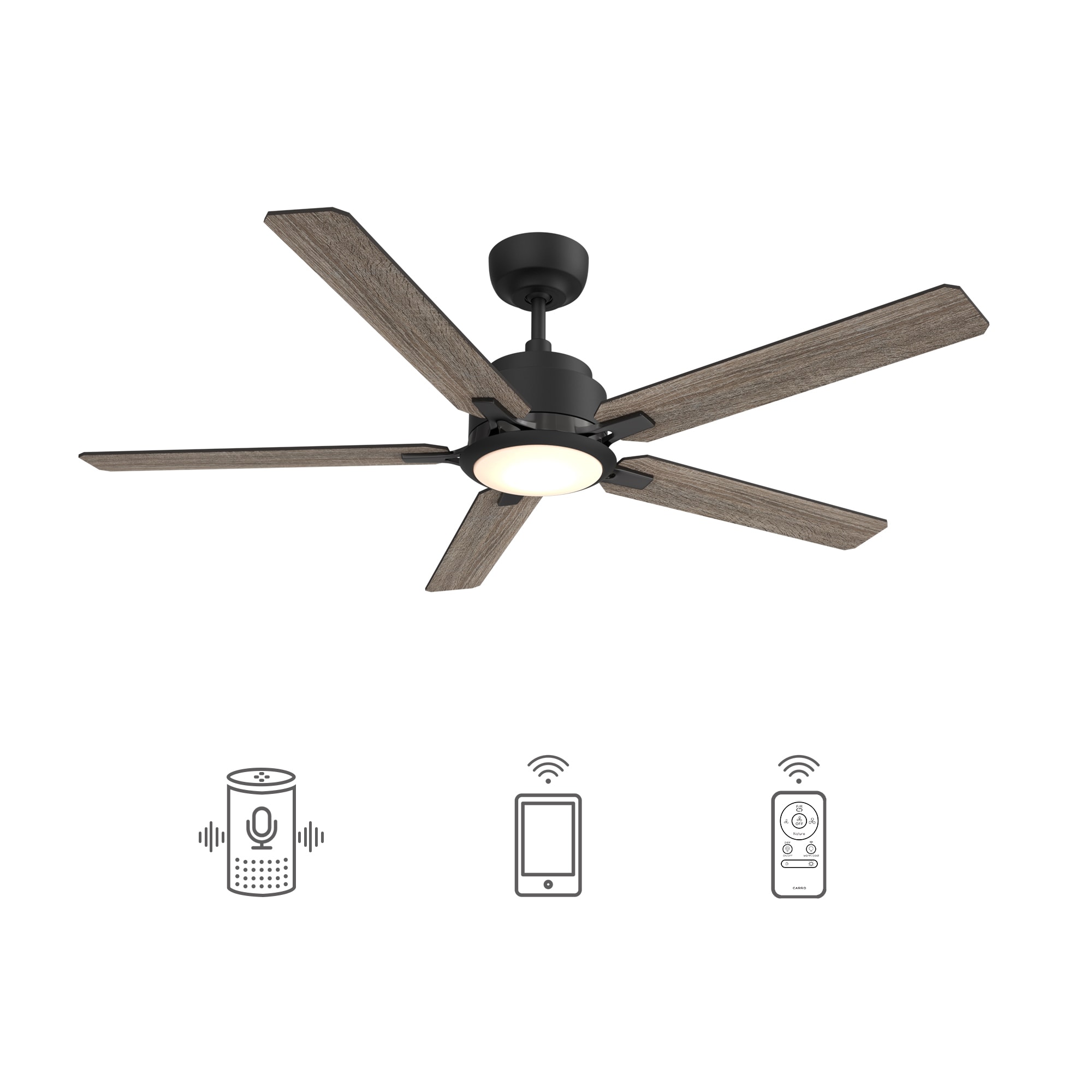 CARRO USA Essex 56-in Black with Gray Oak Blades Indoor/Outdoor Smart Ceiling Fan with Light and Remote (5-Blade) LS565J-L12-BO-1 Sansujyuku sansujyuku.com