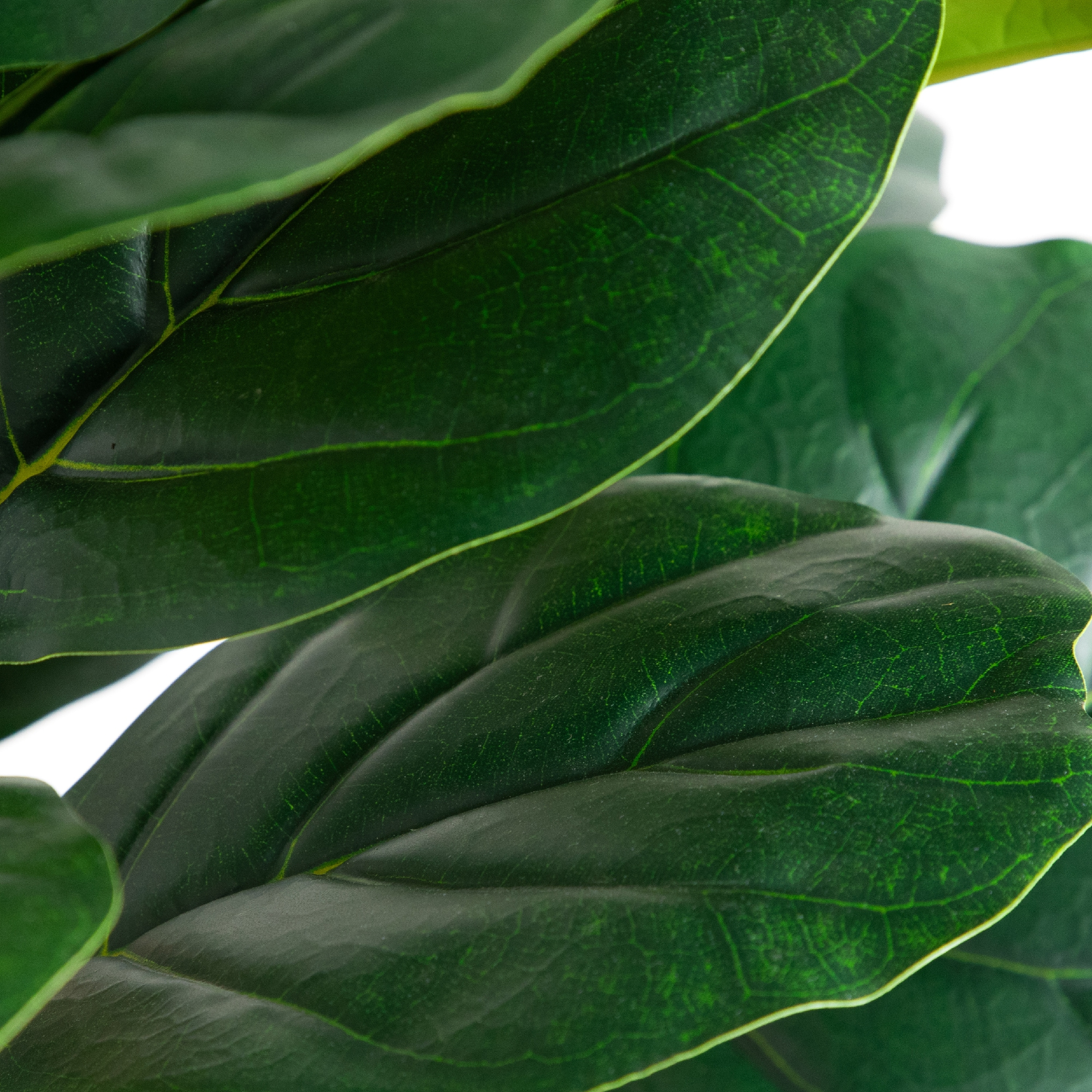 Nearly Natural T4776 Artificial-Plants-Trees - View #3