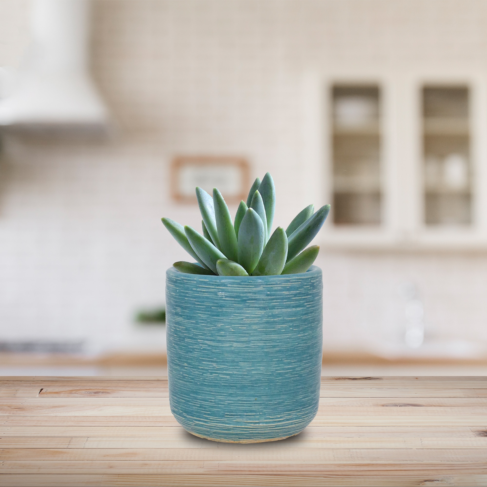 allen + roth CR11367N-045M5 Planter-Window-Box - View #4