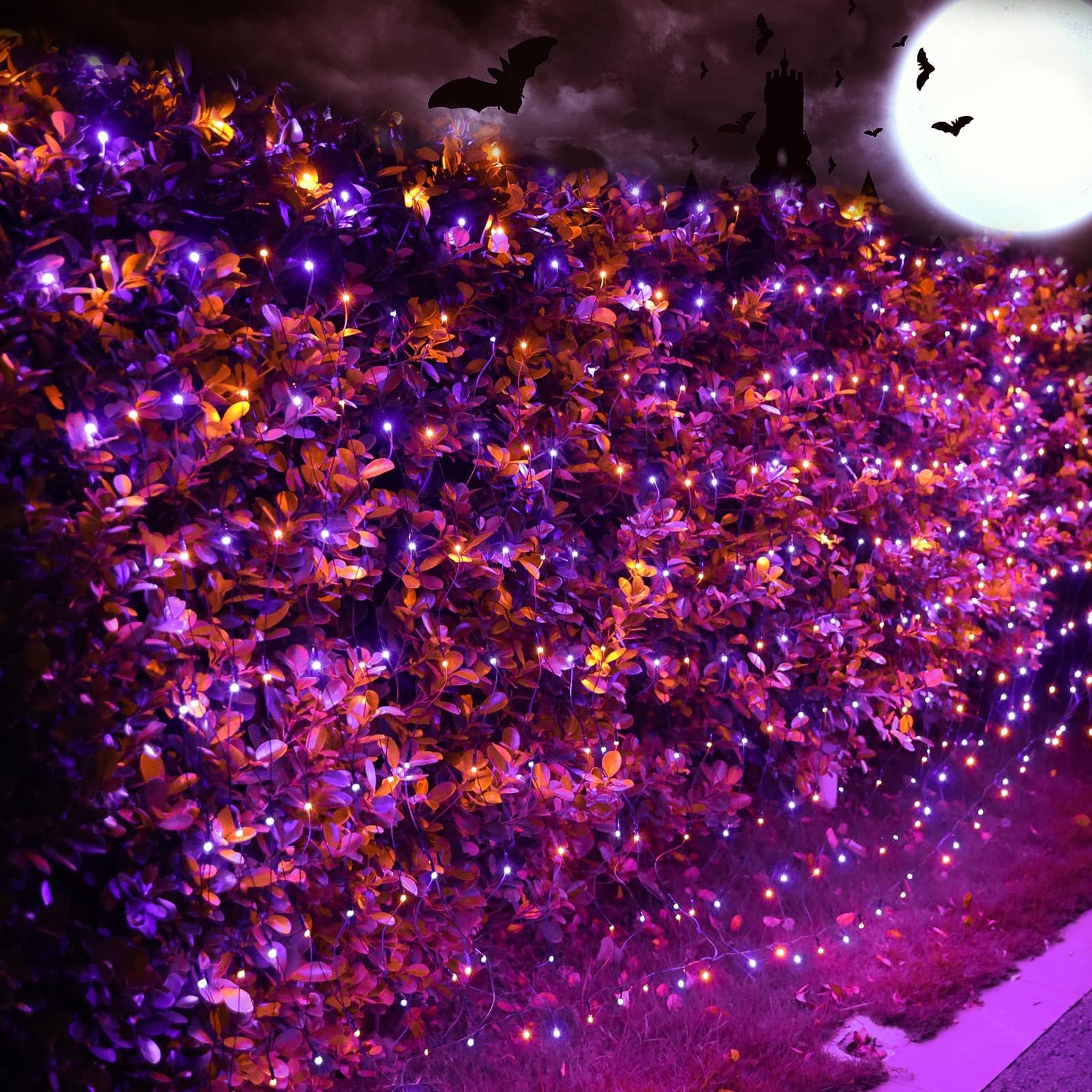 WZK 253111045891 Halloween-String-Lights - View #5
