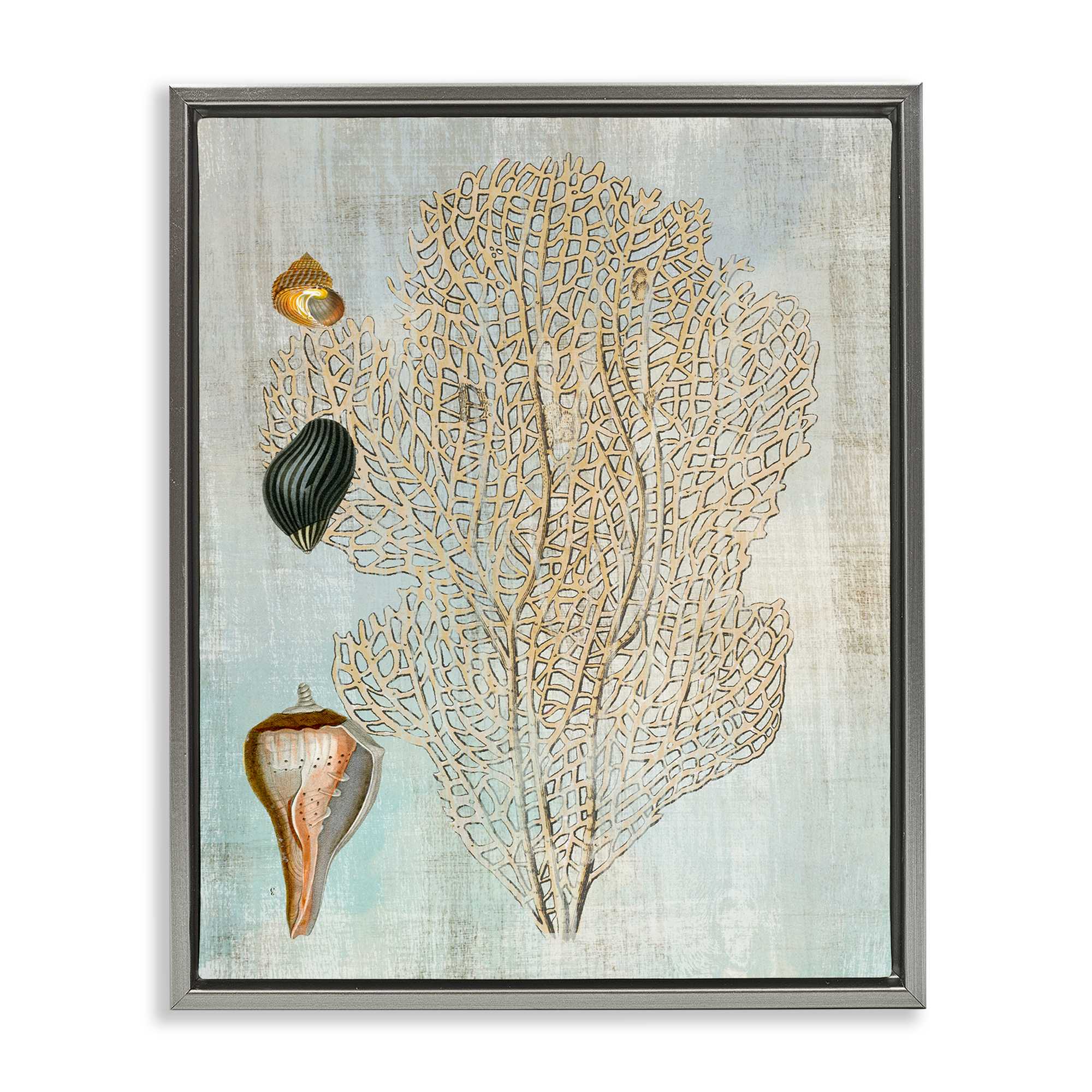 Stupell Industries BT-991-FFL-24X30 Detailed Coral and Seashells Gray Framed Floater Canvas Wall Art By Susan Arnot 25 x 31