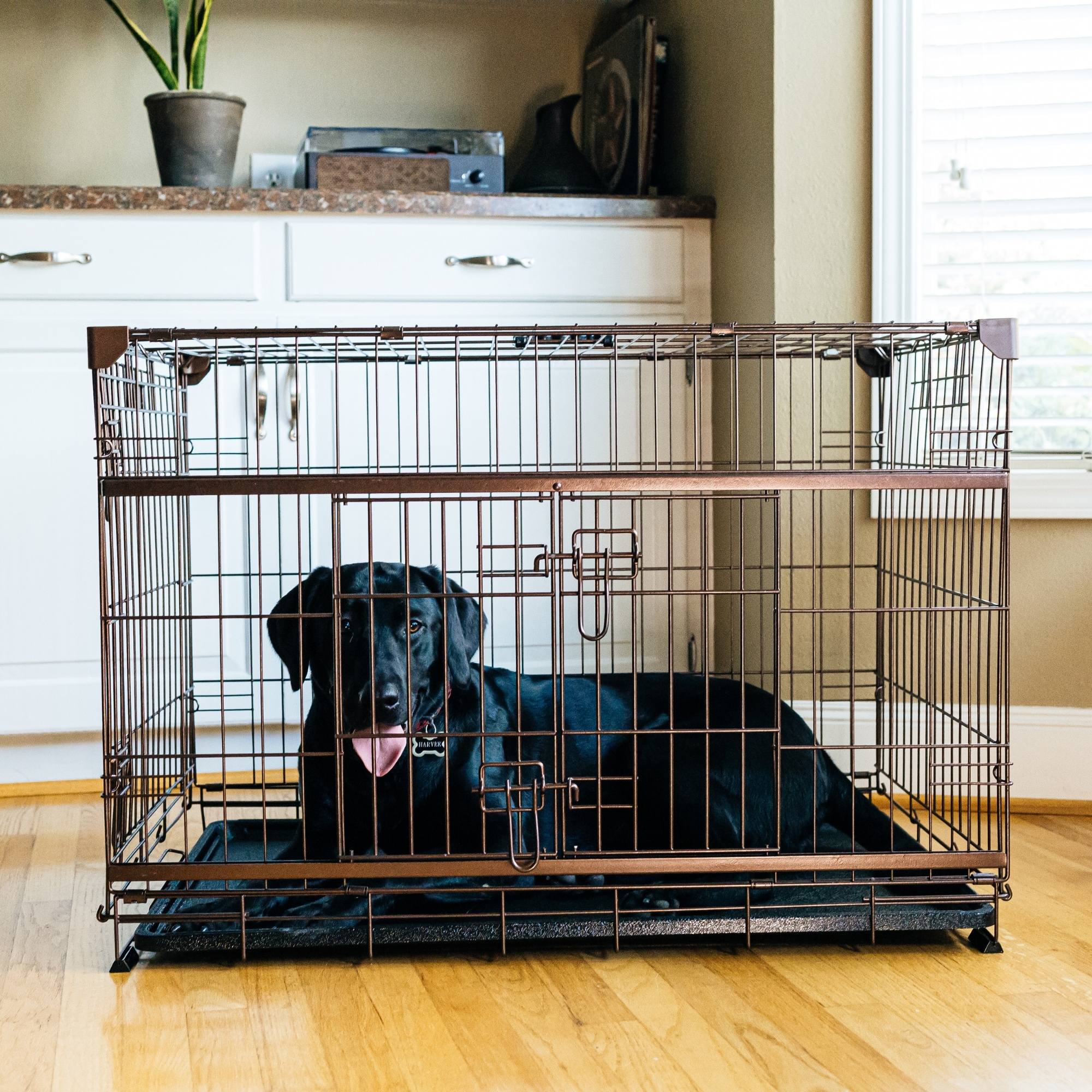 Lucky Dog ZW51536-UR1510 Pet-Crates-Carriers - View #10