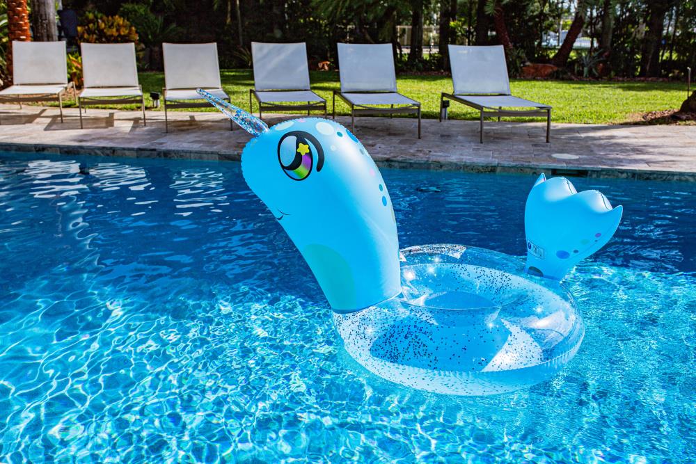 Inflatable ride-on Pool Toys & Floats at