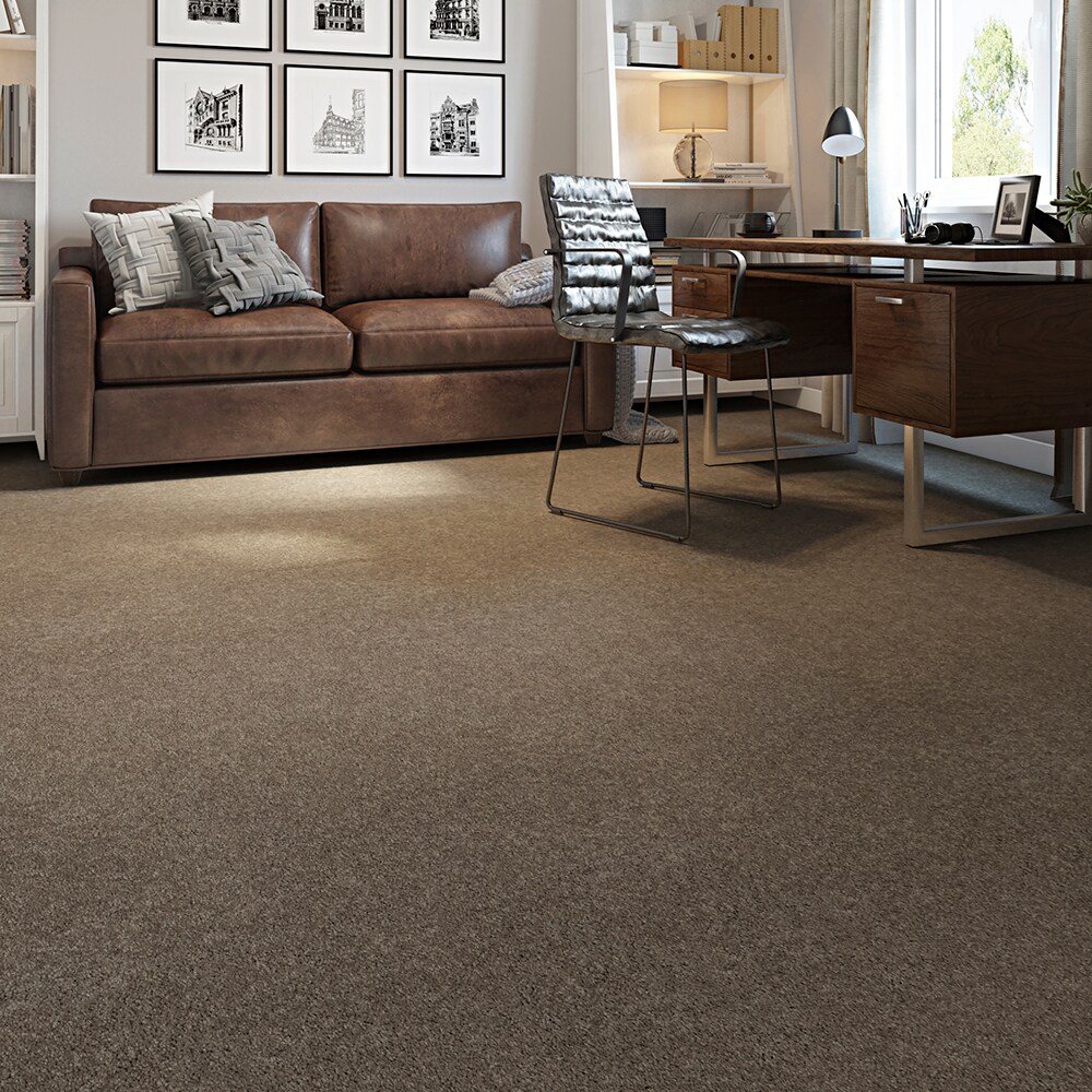 STAINMASTER STP43-12-L010 Carpet-Panel - View #3