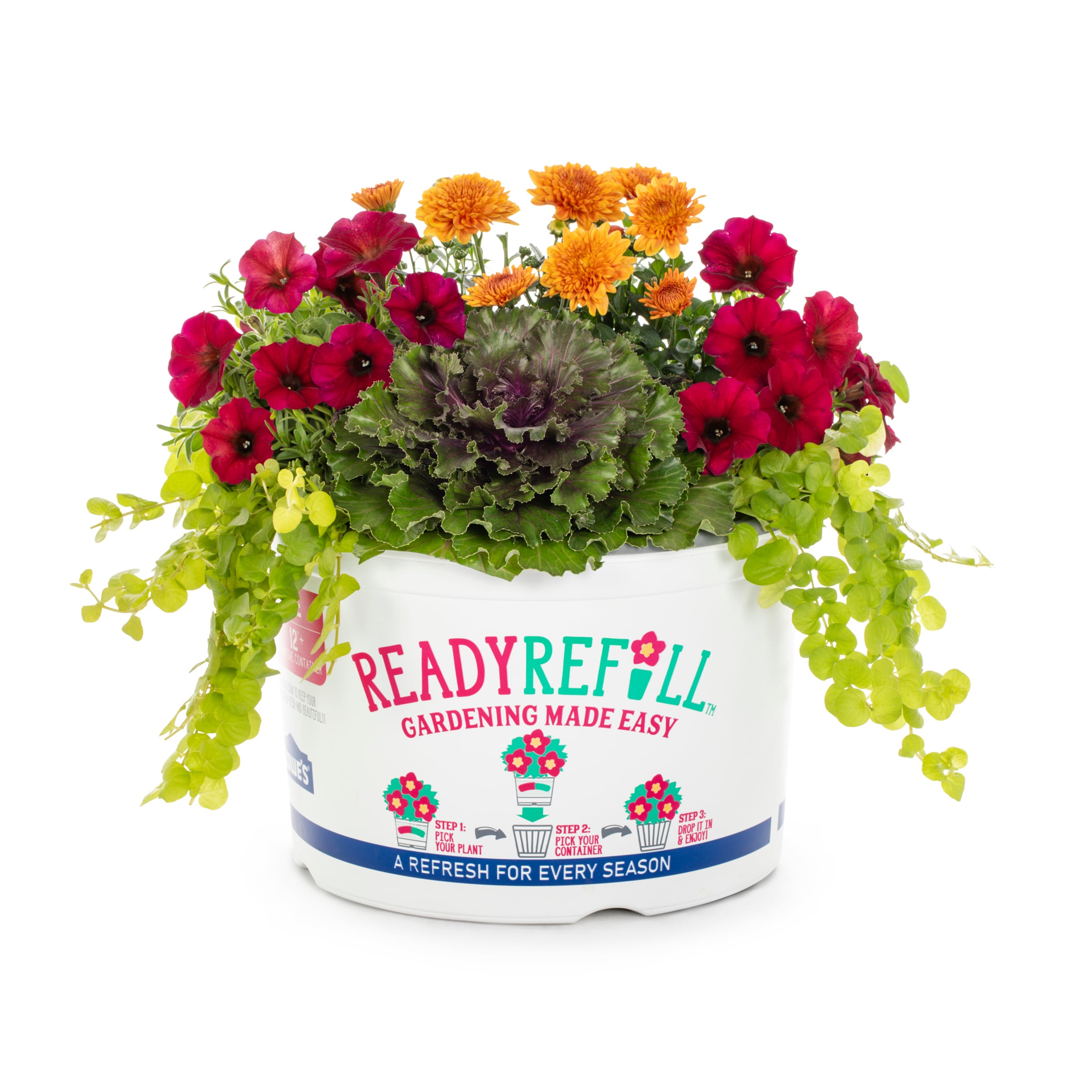 2.5 Gallon(s) Assorted colors Mixed Annual Combination 3 -Pack in the ...