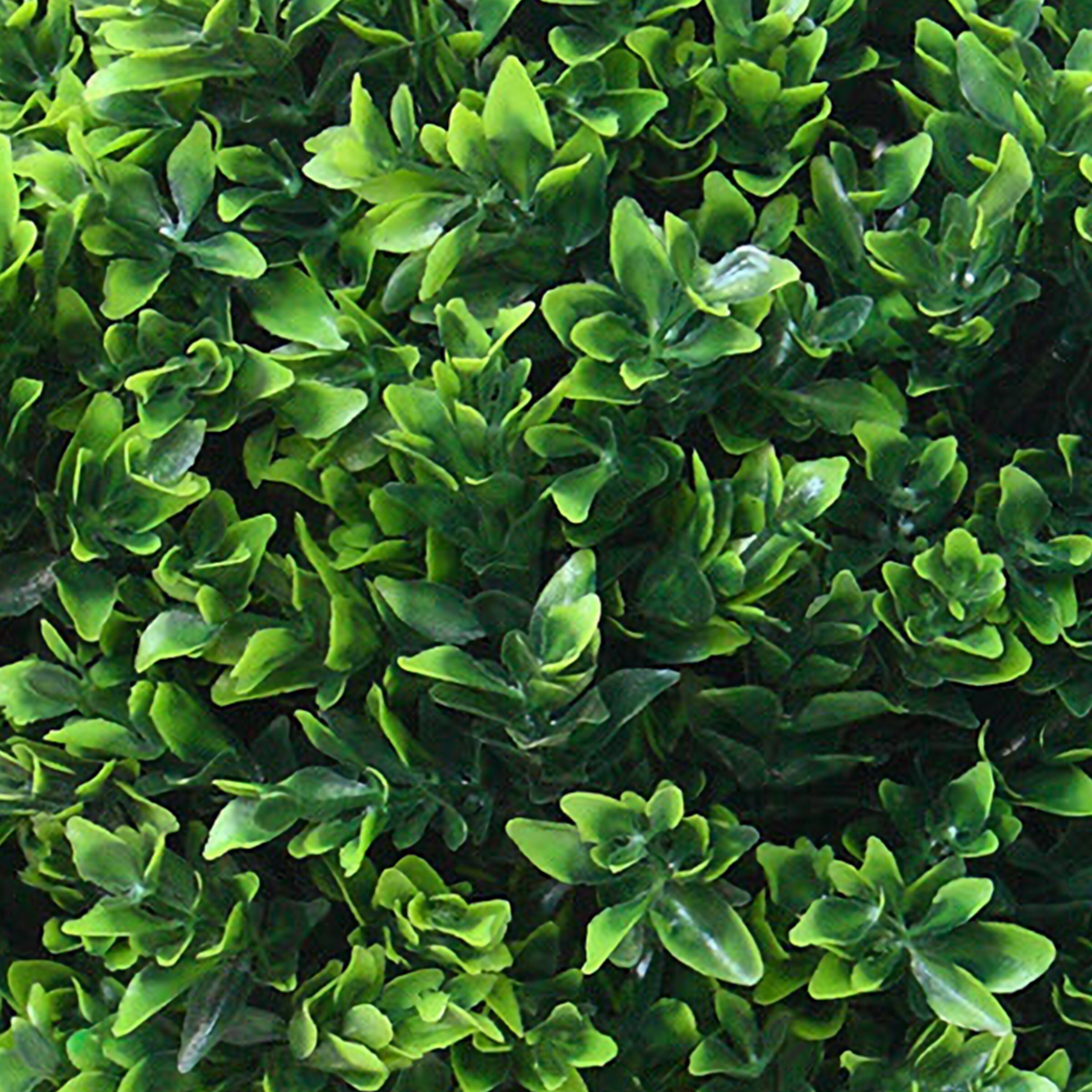 Nature Spring 24" Green Artificial Hedyotis Topiary Trees - Set of 2