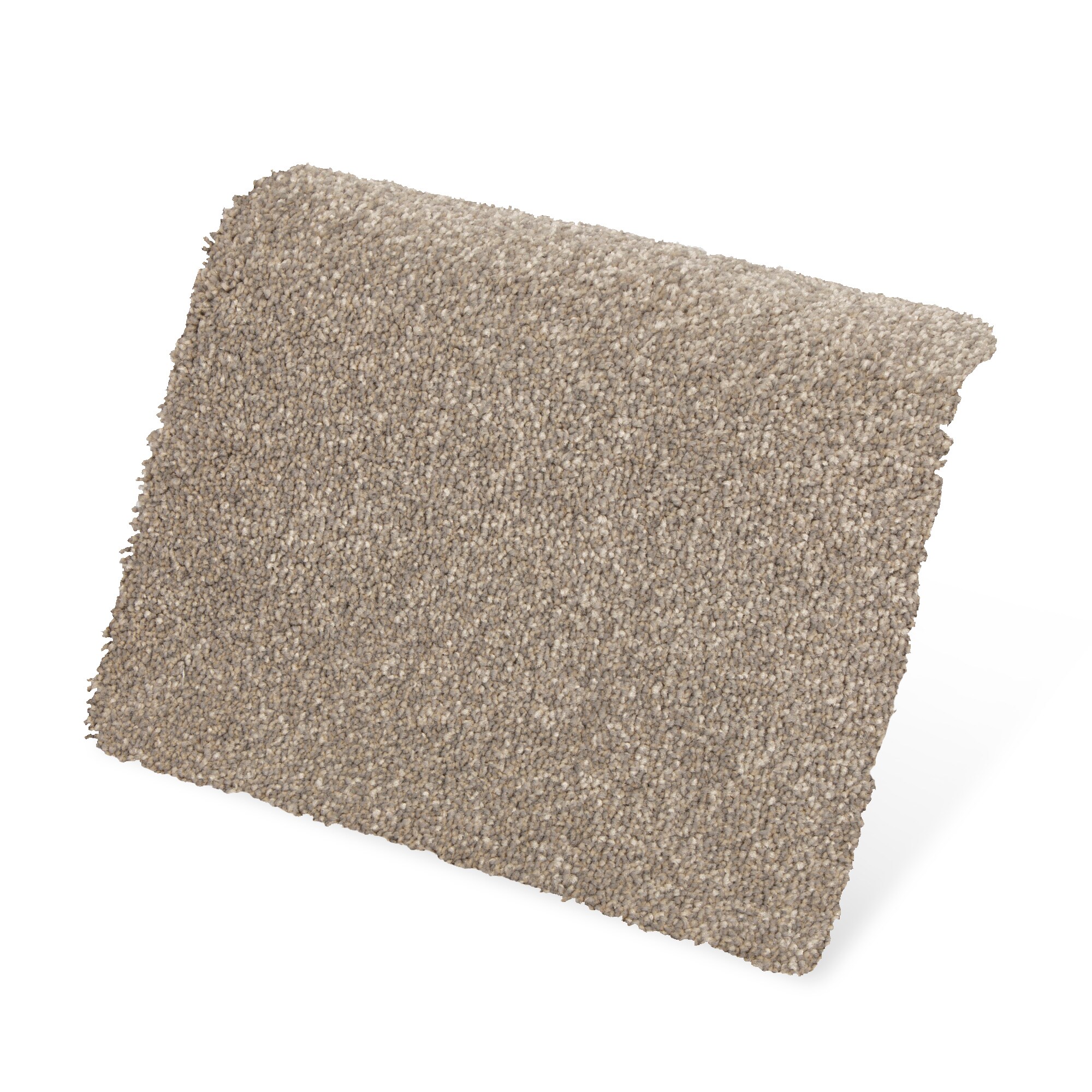 STAINMASTER SS019-12-L007 Carpet-Panel - View #4