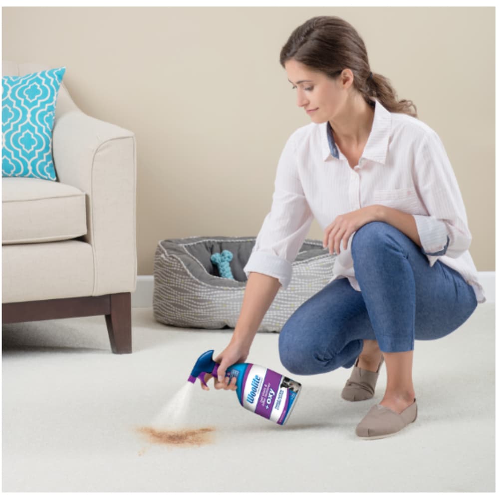 Woolite 0890 All-Purpose-Cleaners - View #2