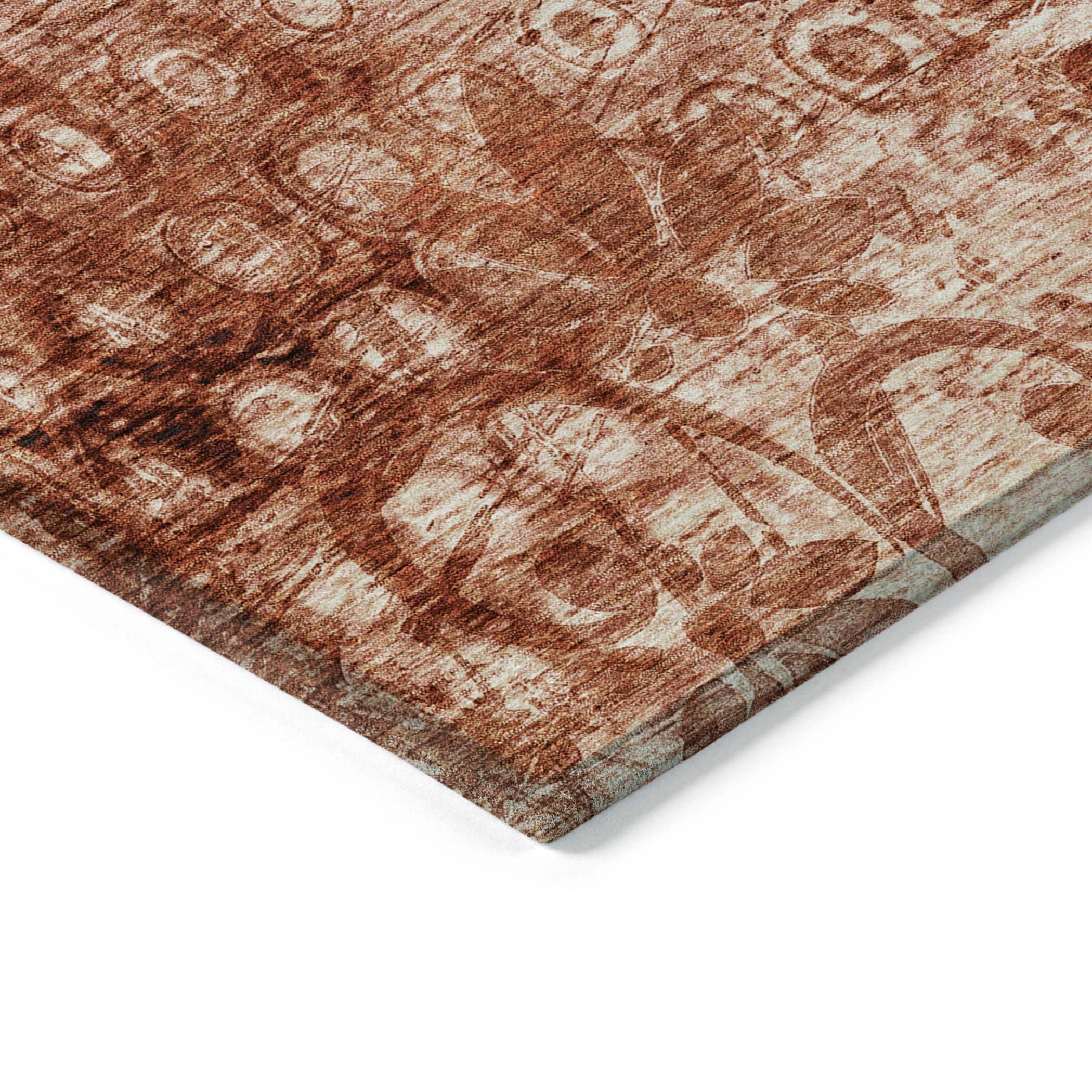 Addison Rugs ACN577PK30X46 rugs - View #4