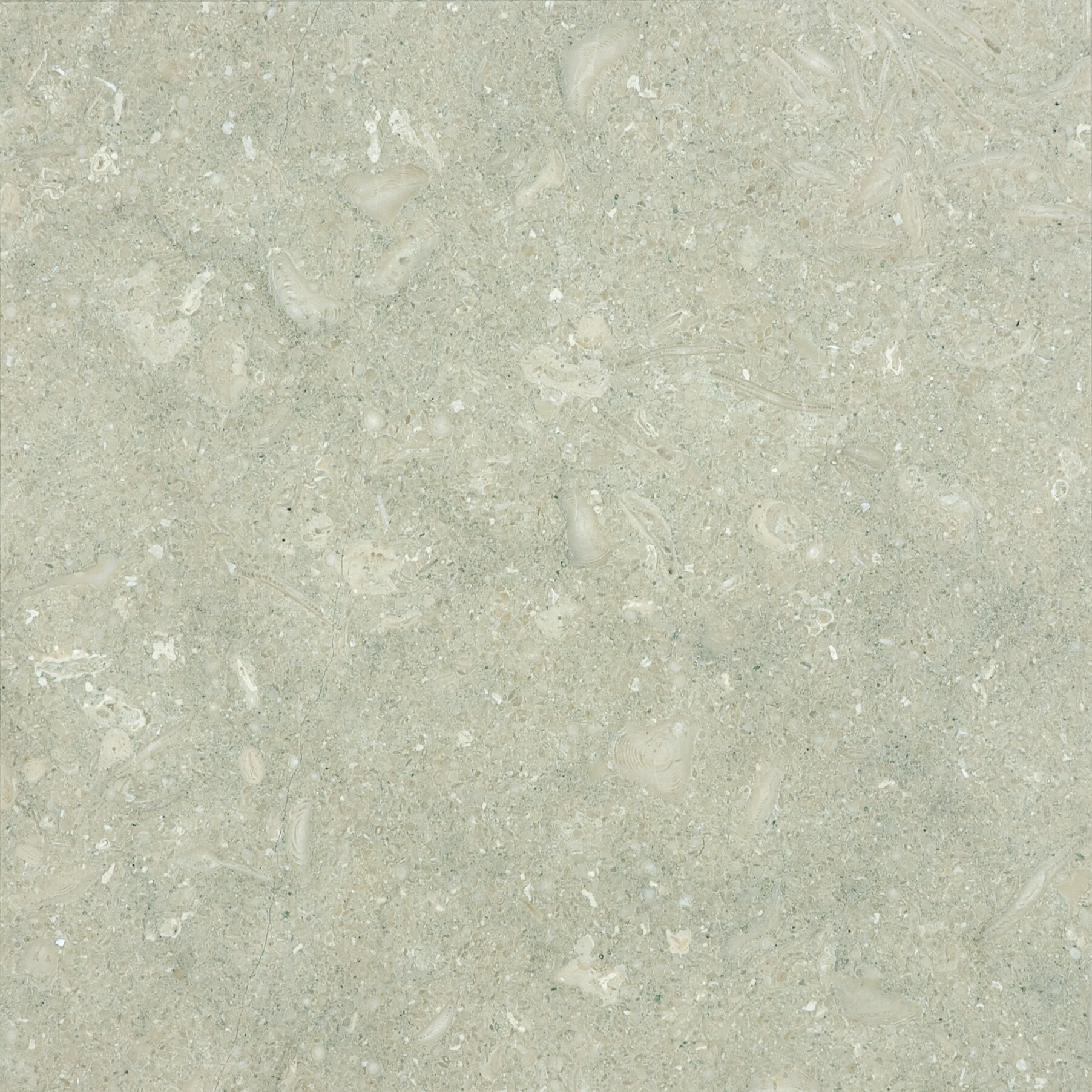 Anatolia Tile 74-101 Seagrass Honed 12-in x 12-in Honed Natural Stone Limestone Tile (10-sq. ft/ Carton)