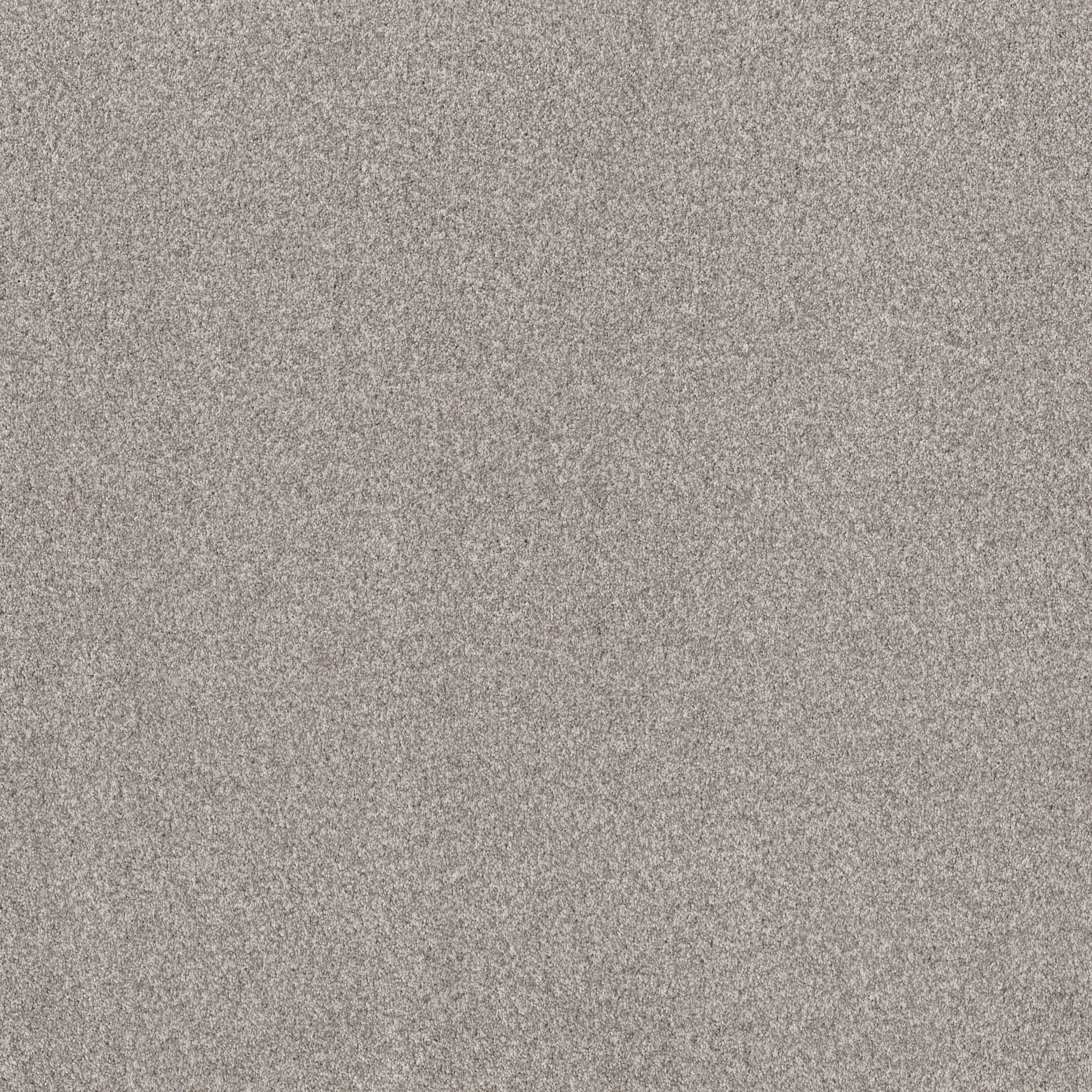 Reverie Iii Platinum Textured Carpet In