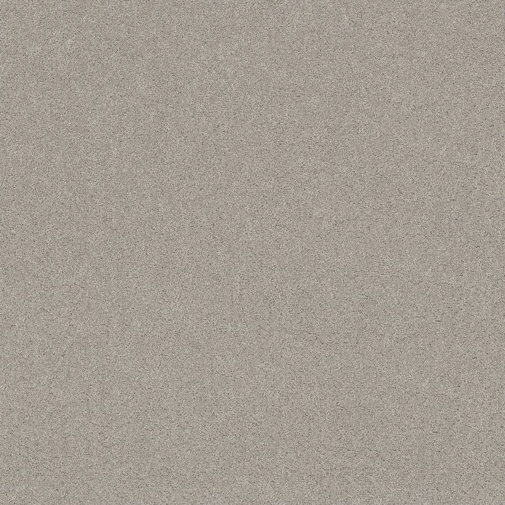 STAINMASTER PetProtect 7L944-523-SAMP (Sample) 8-in x 8-in with LeakDefense Paws Of Joy Marble Gray 48.8-oz sq yard High-performance polyester Pattern Indoor Carpet