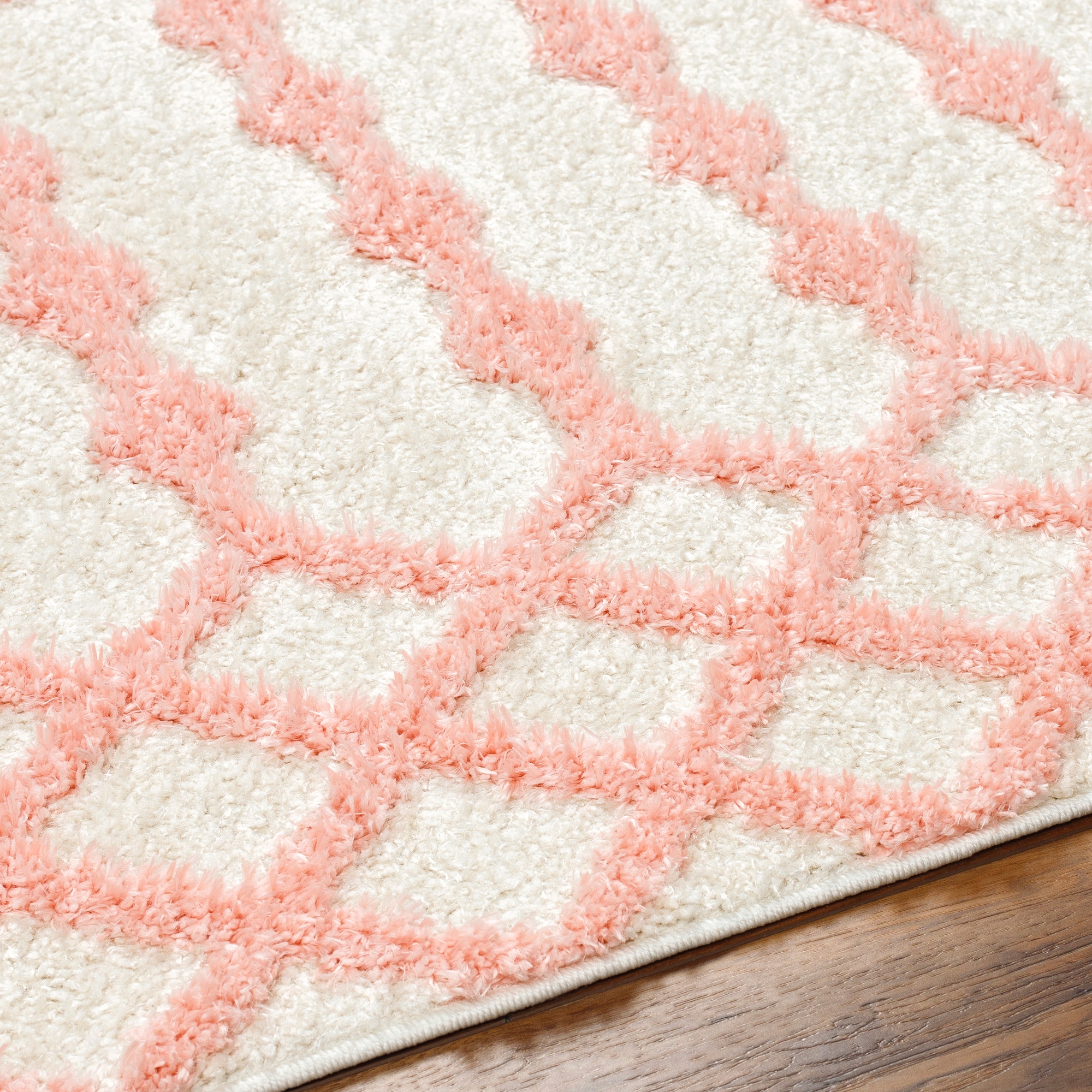 Livabliss RDO2344-71010 rugs - View #4