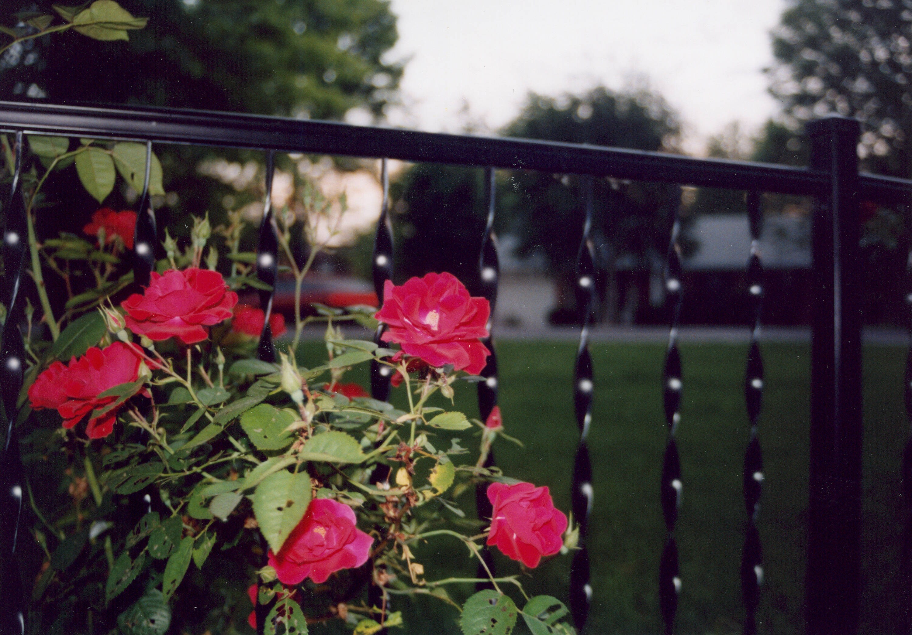 Gilpin 556 railings - View #4