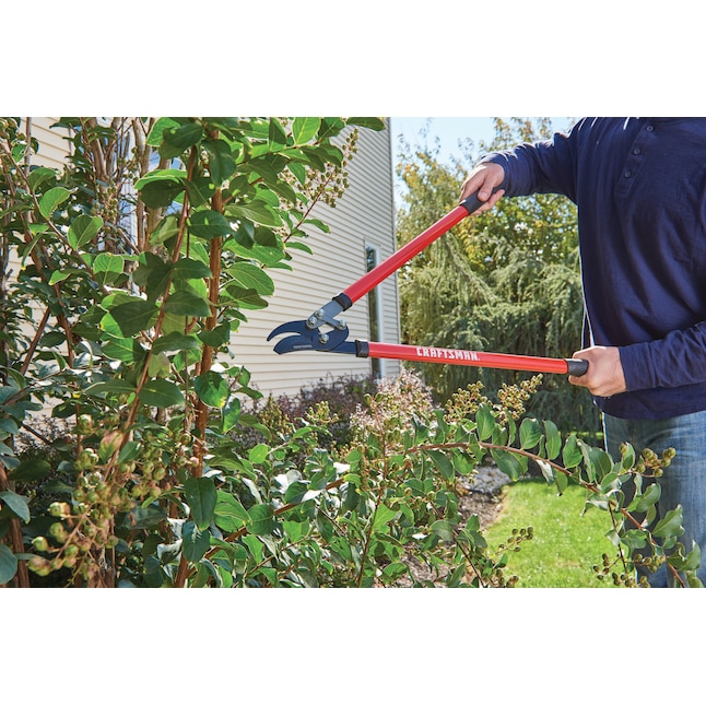 CRAFTSMAN 22.7-in Carbon Steel Compound Bypass Lopper in the Loppers ...