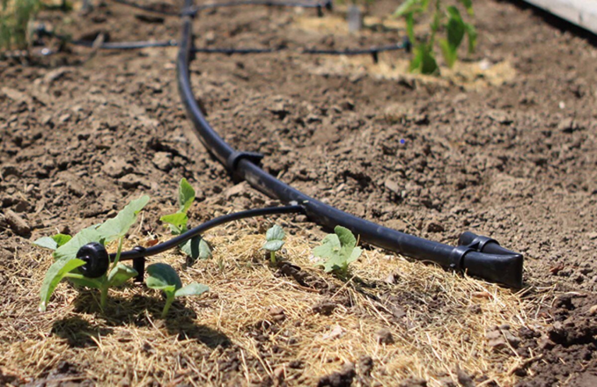 Orbit Drip Irrigation Connector (Pack Of- 5) in the Drip Irrigation ...