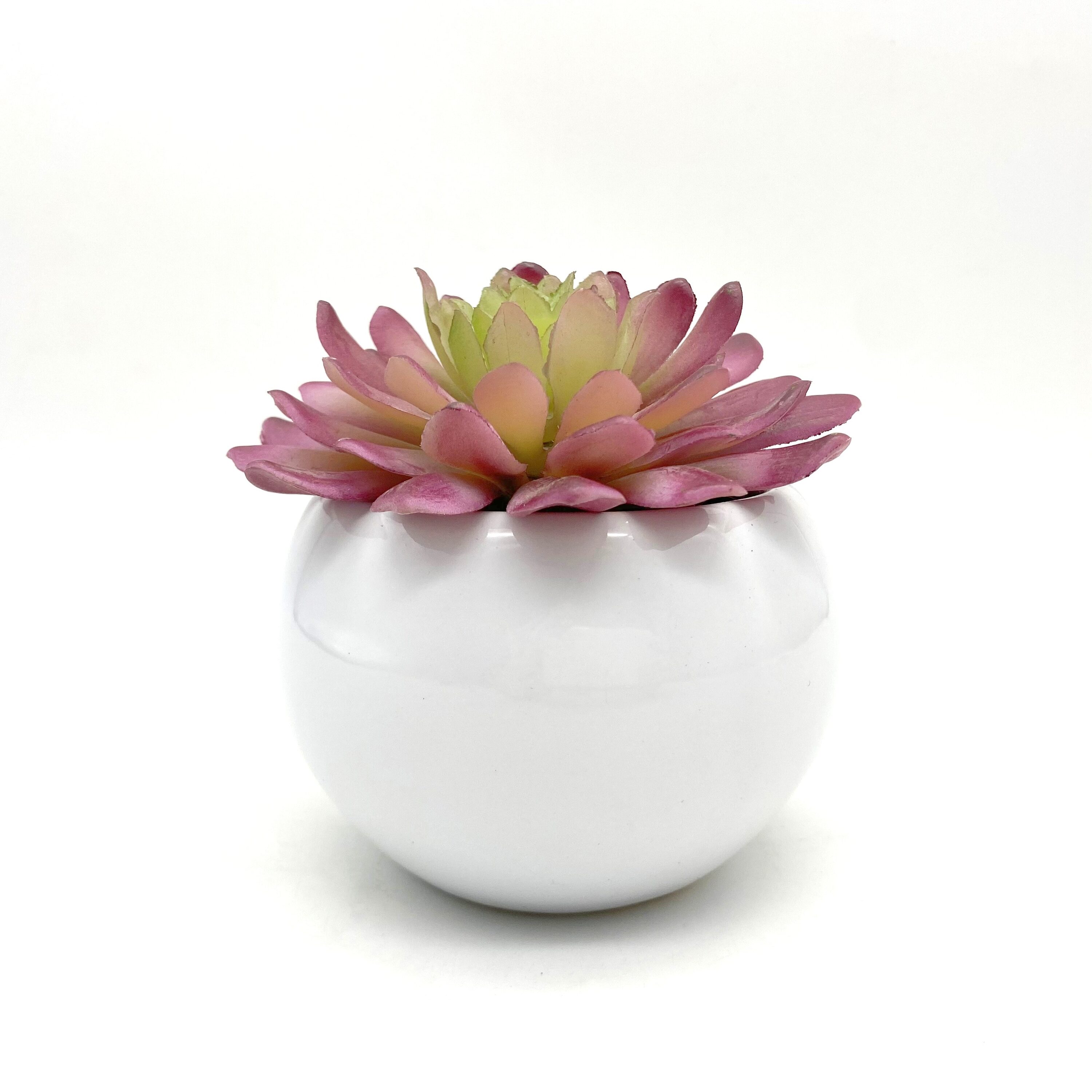 Nearly Natural P1940-LW 5-in Green Indoor Desktop Succulent Artificial plant