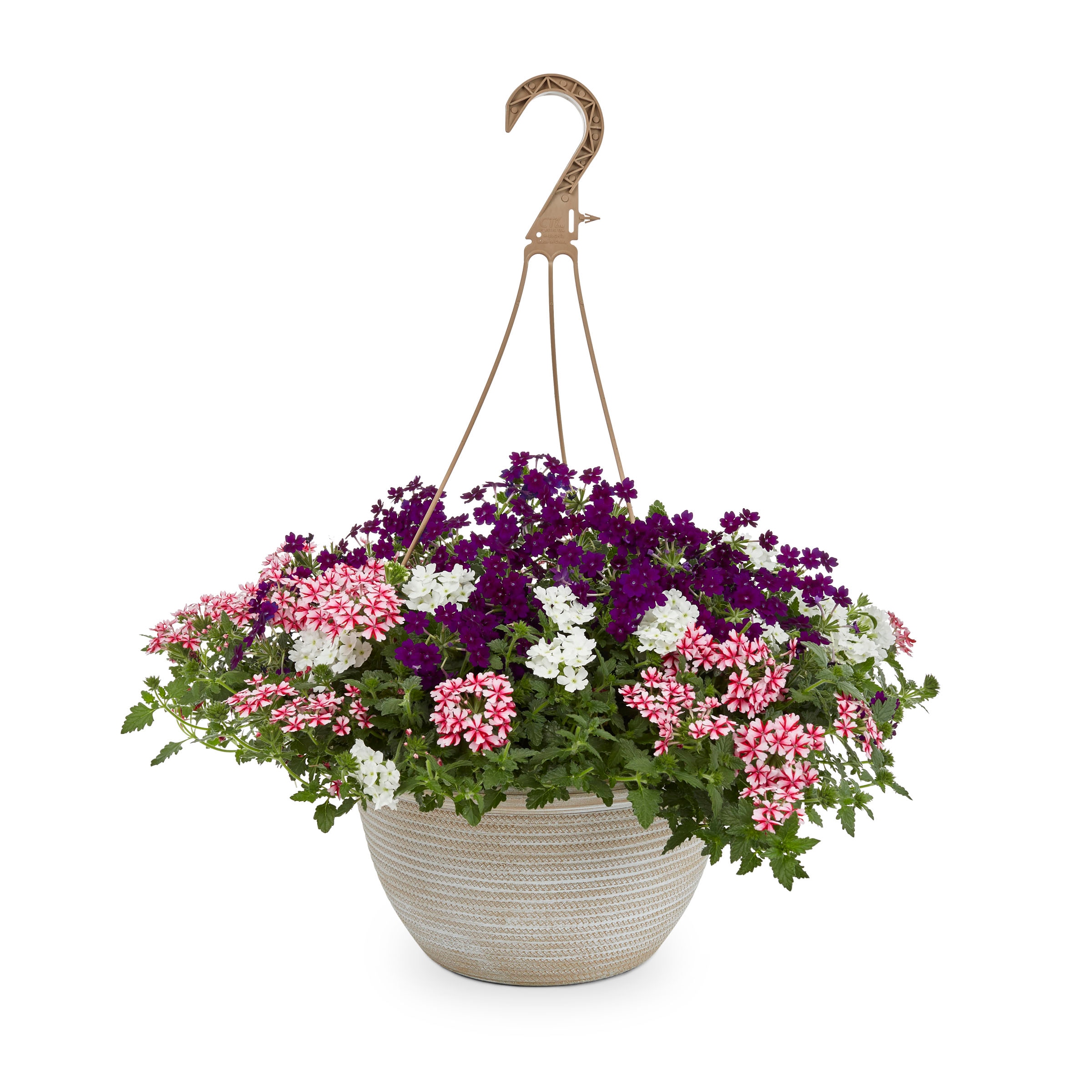 Lowe's 157456 annuals - View #4