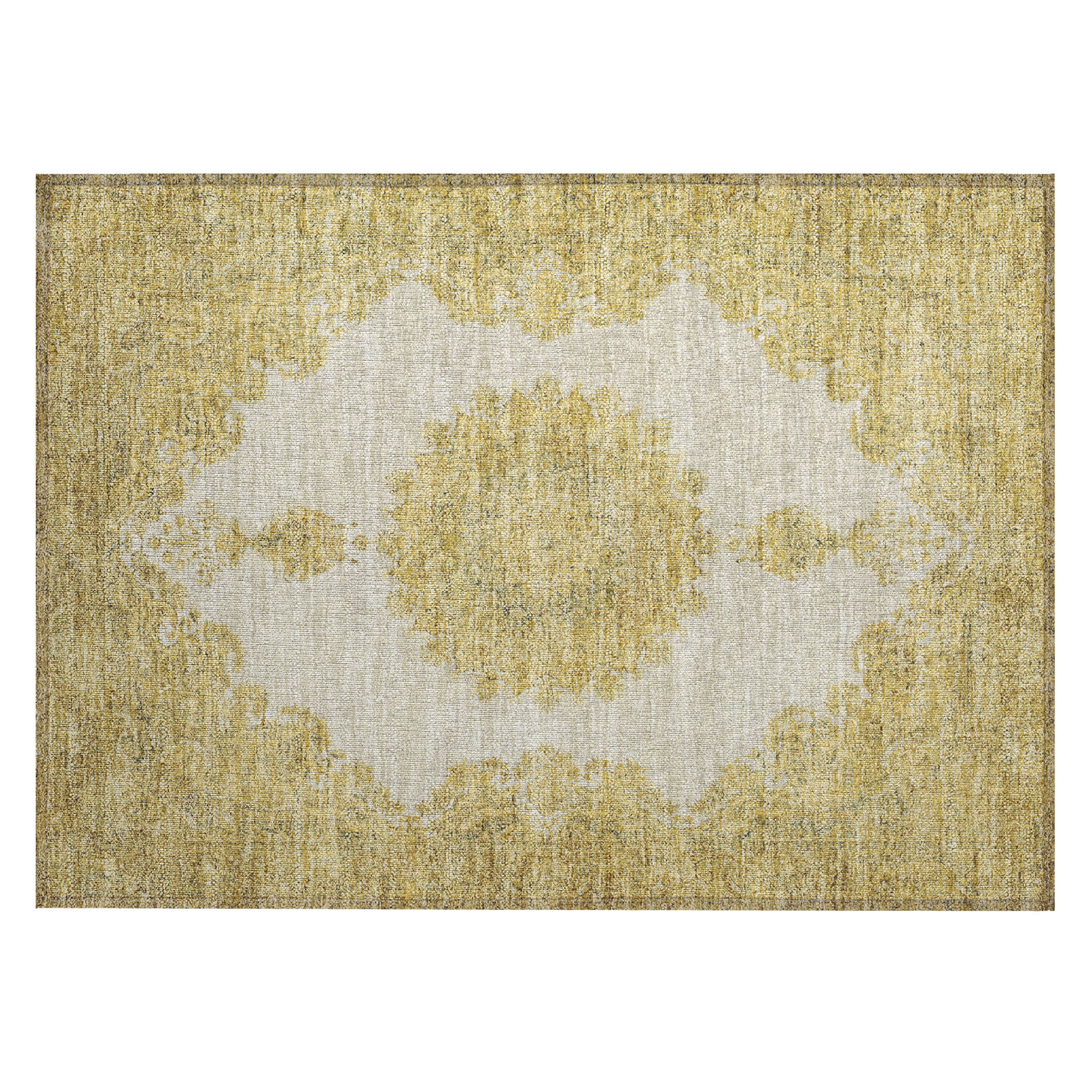 Addison Rugs ACN1003GO20X30 rugs - View #2