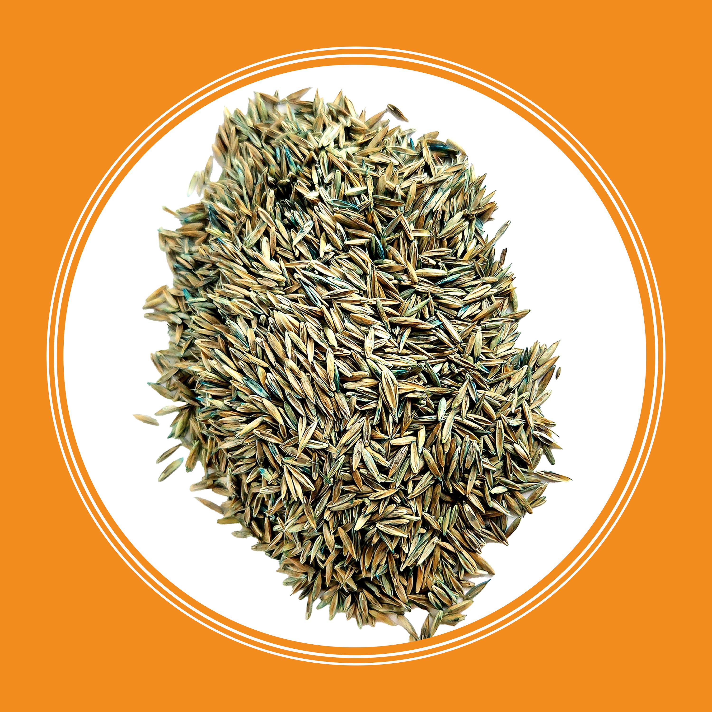 Pennington 100516119 Grass-Seed - View #13