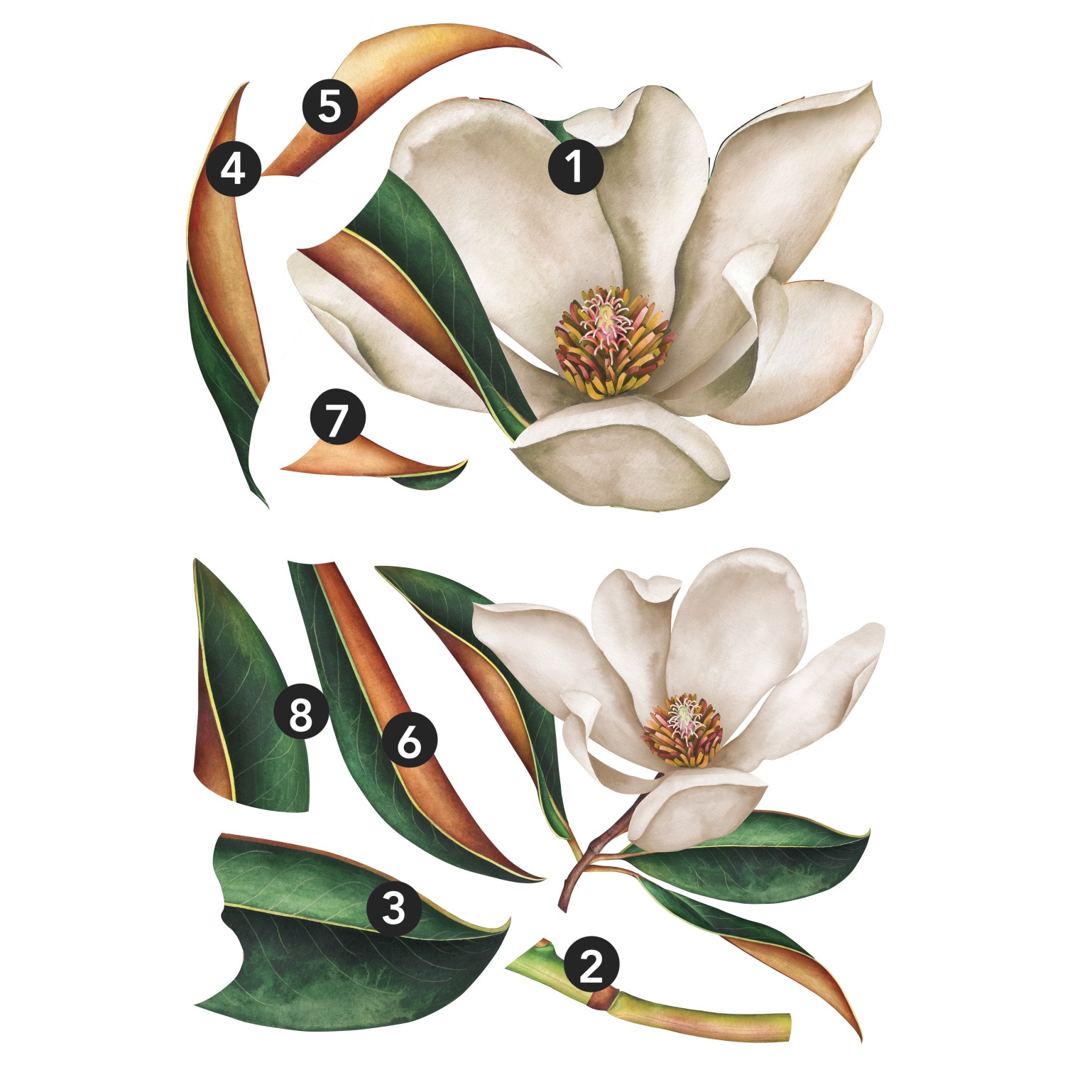 Vintage Magnolia Peel and Stick Giant Wall Decal
