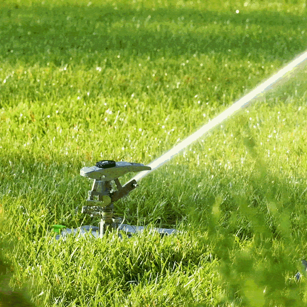 Ray Padula EC-MDMB-A sprinklers - View #2