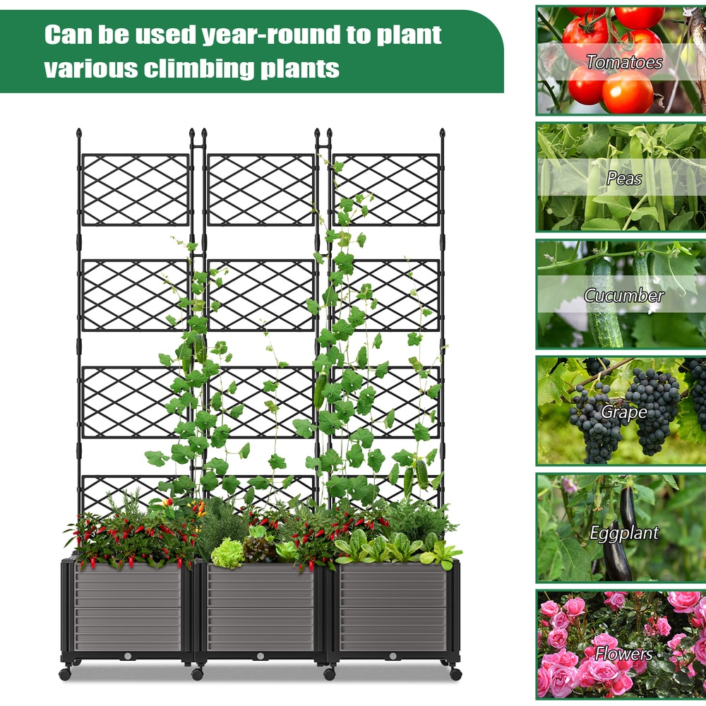 Esazn N1600250-LARGE Raised-Garden-Beds - View #8
