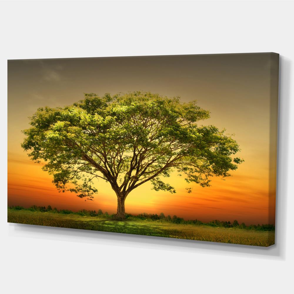 Designart PT14843-32-16 Wall-Art - View #2