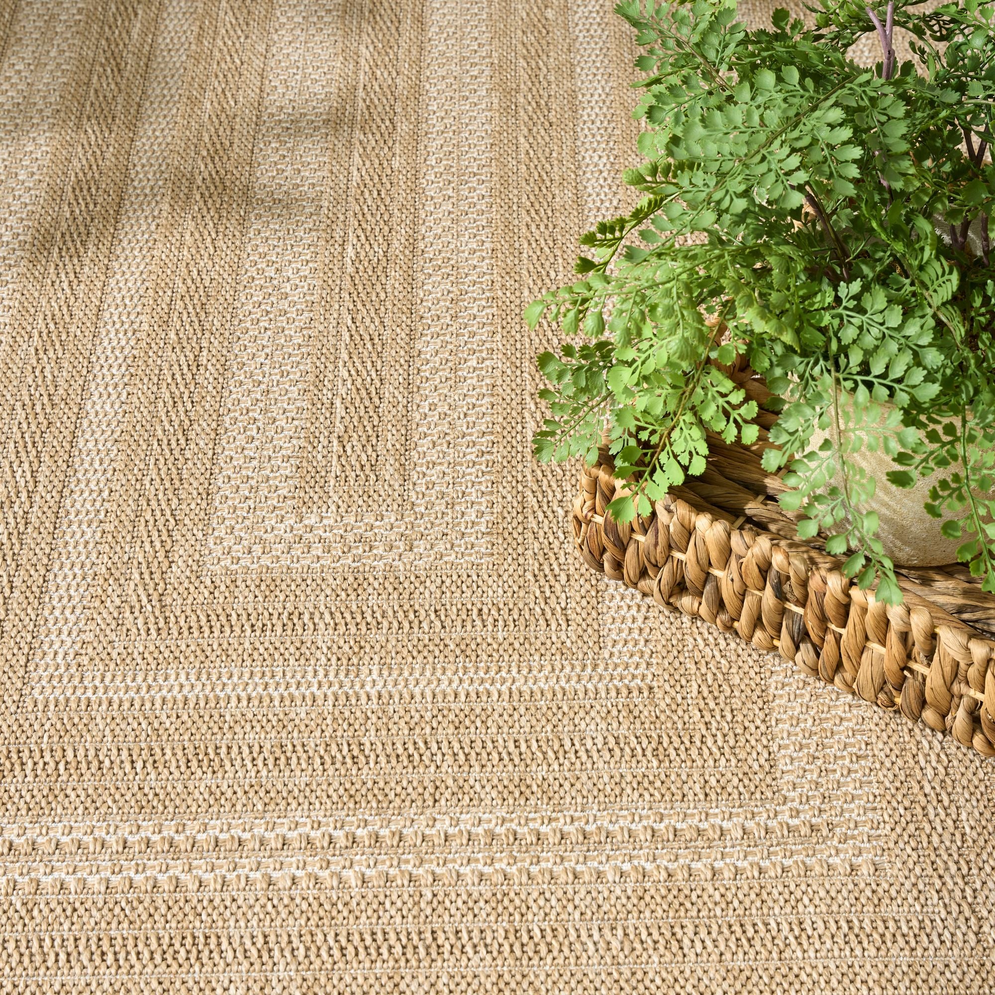 Nourison 841491139820 rugs - View #4