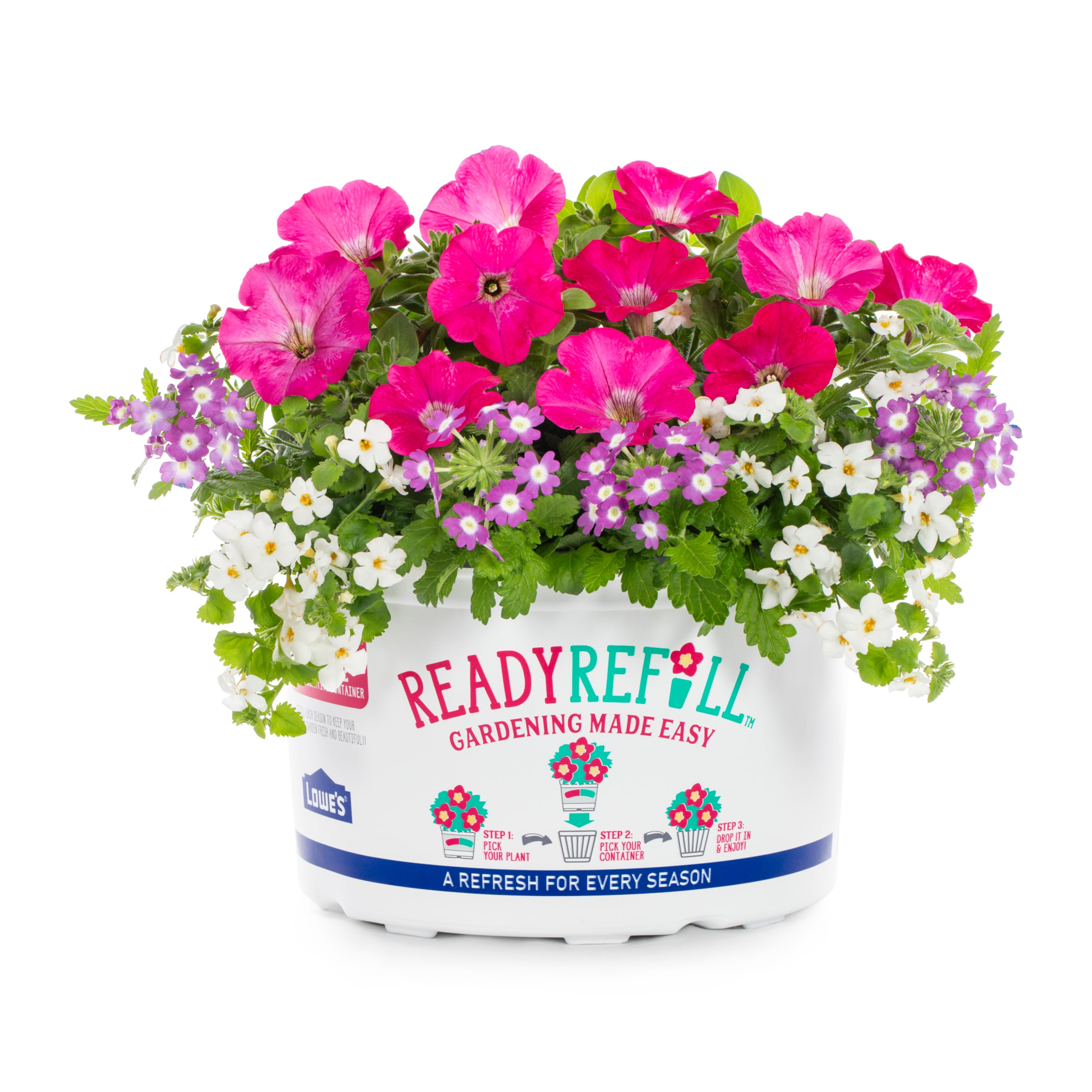 Metrolina Greenhouses Multicolor Bacopa, Petunia, Verbena in 1.5
