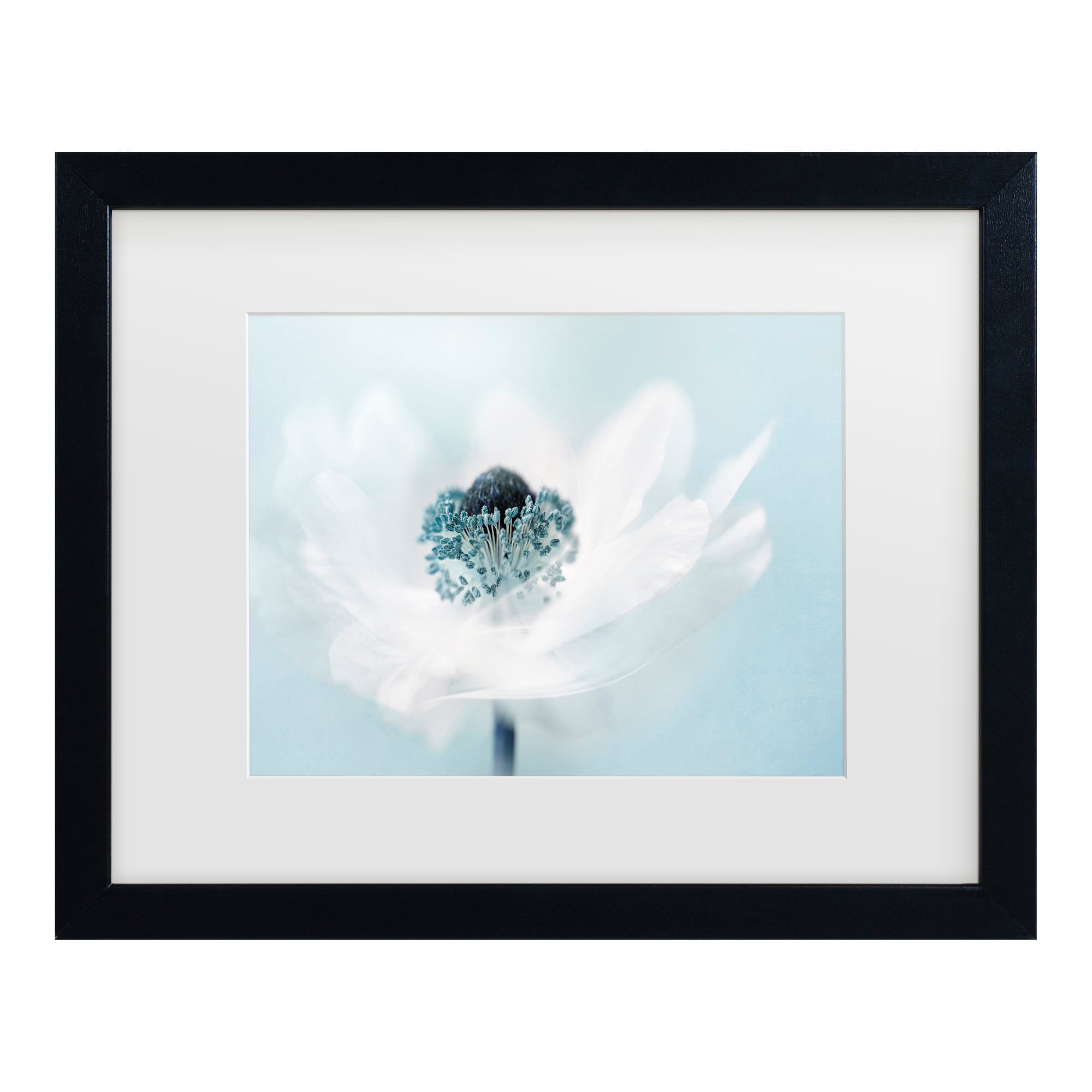 Trademark Fine Art 1X10954-B1620MF Wall-Art - View #2