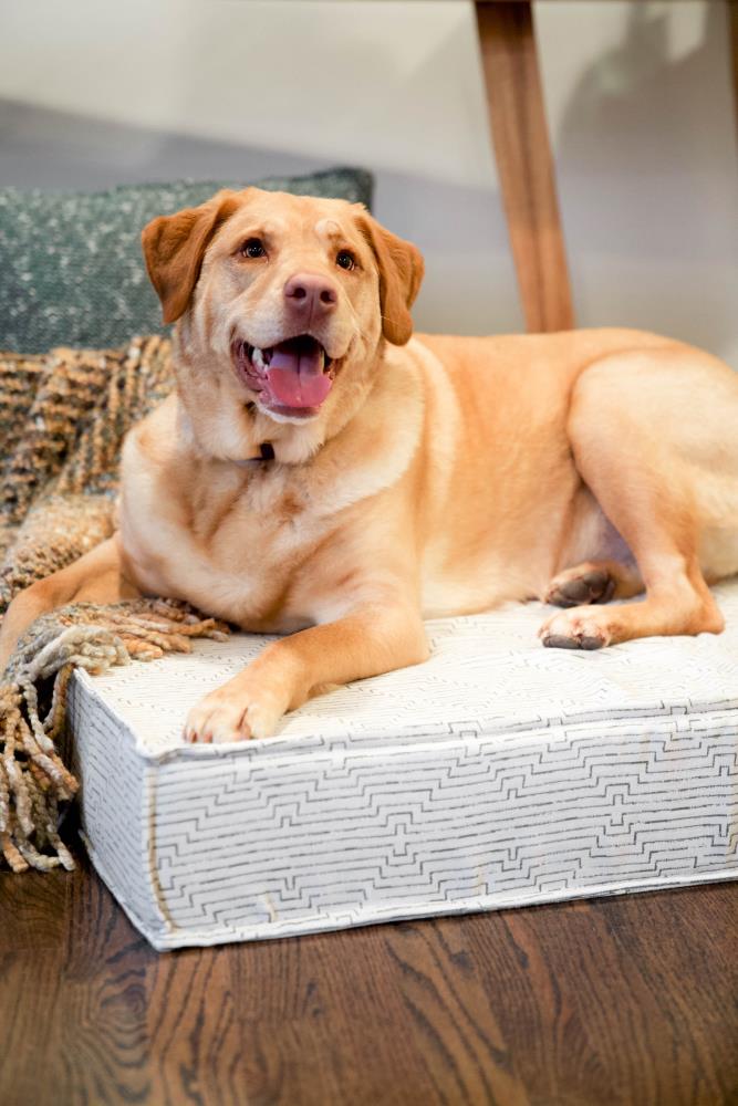 The Houndry 660014-XL Pet-Beds - View #4