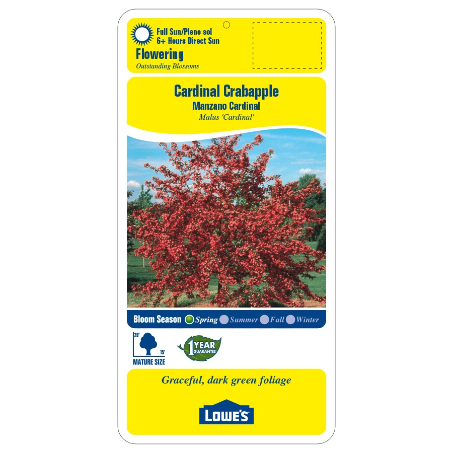 8.9-Gallon Pink Cardinal Crabapple Flowering in Pot (With Soil) (L6429 ...